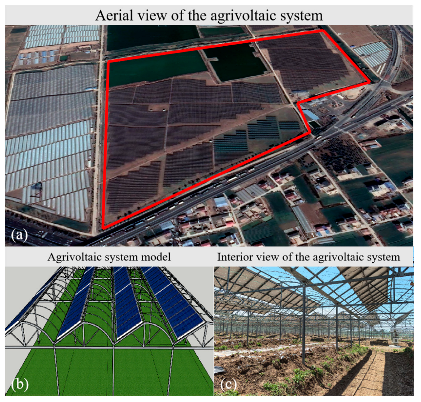 Agriculture 15 02437 g001