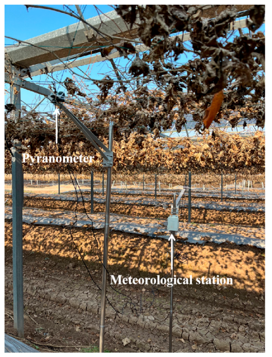 Agriculture 15 02437 g002