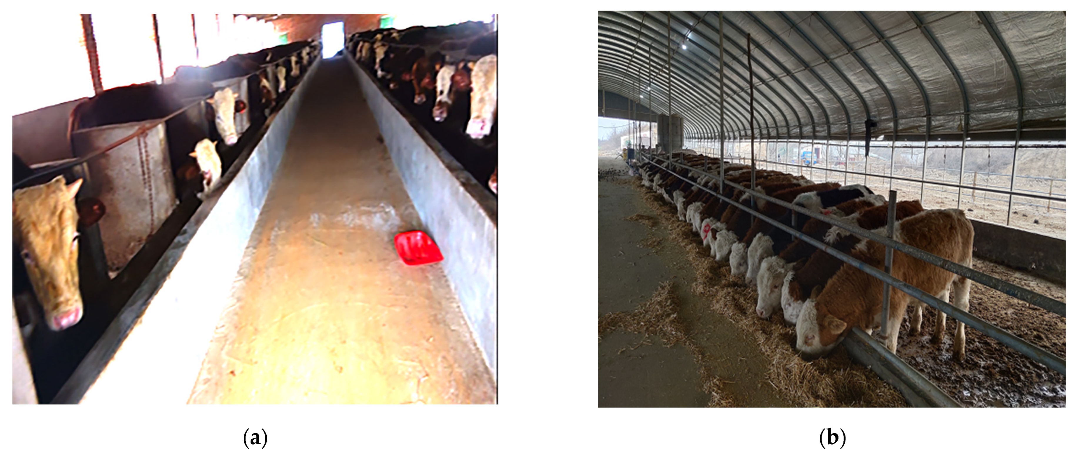 Agriculture 15 02536 g002 Agriculture 15 02536 g002