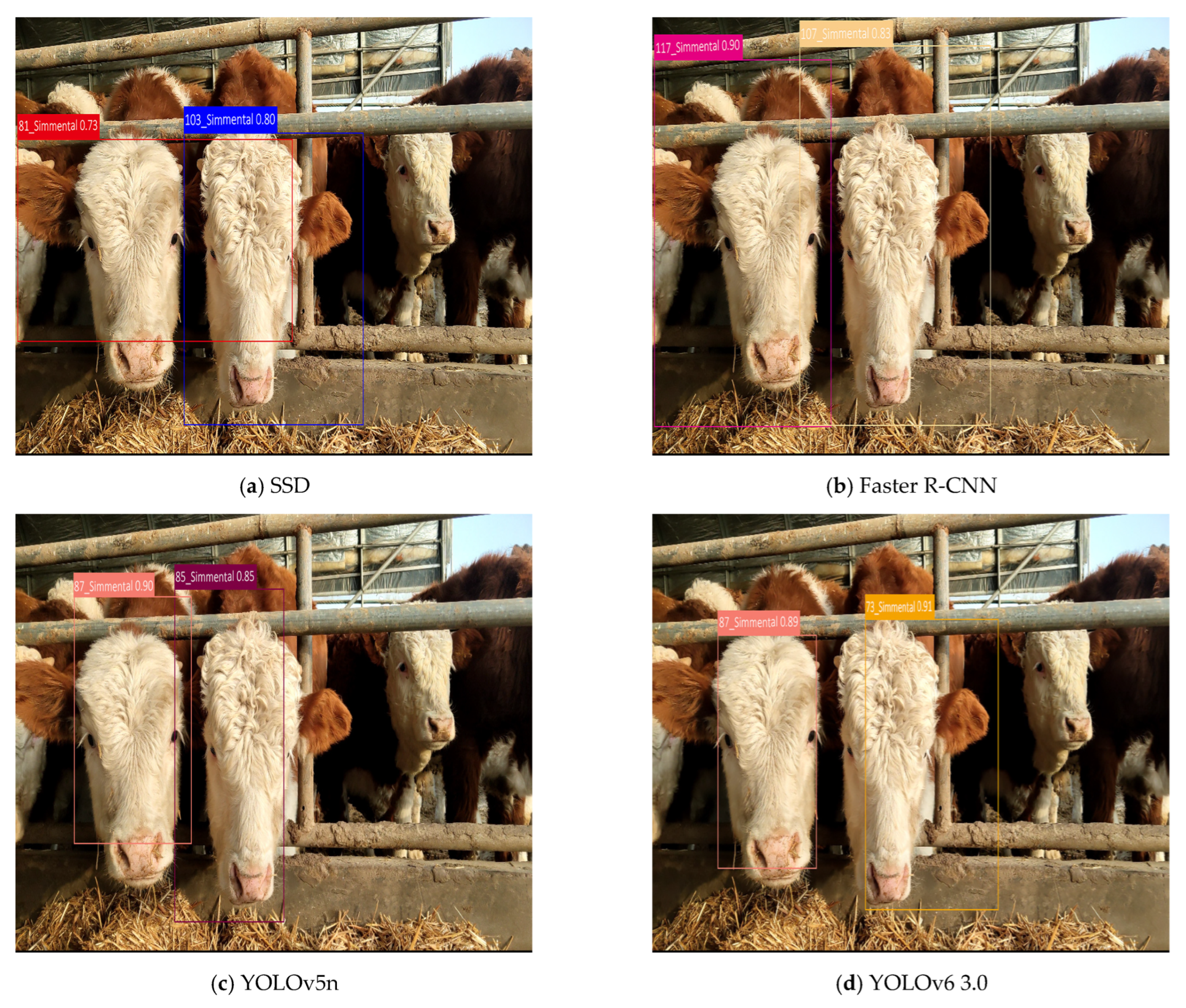 Agriculture 15 02536 g010a Agriculture 15 02536 g010a