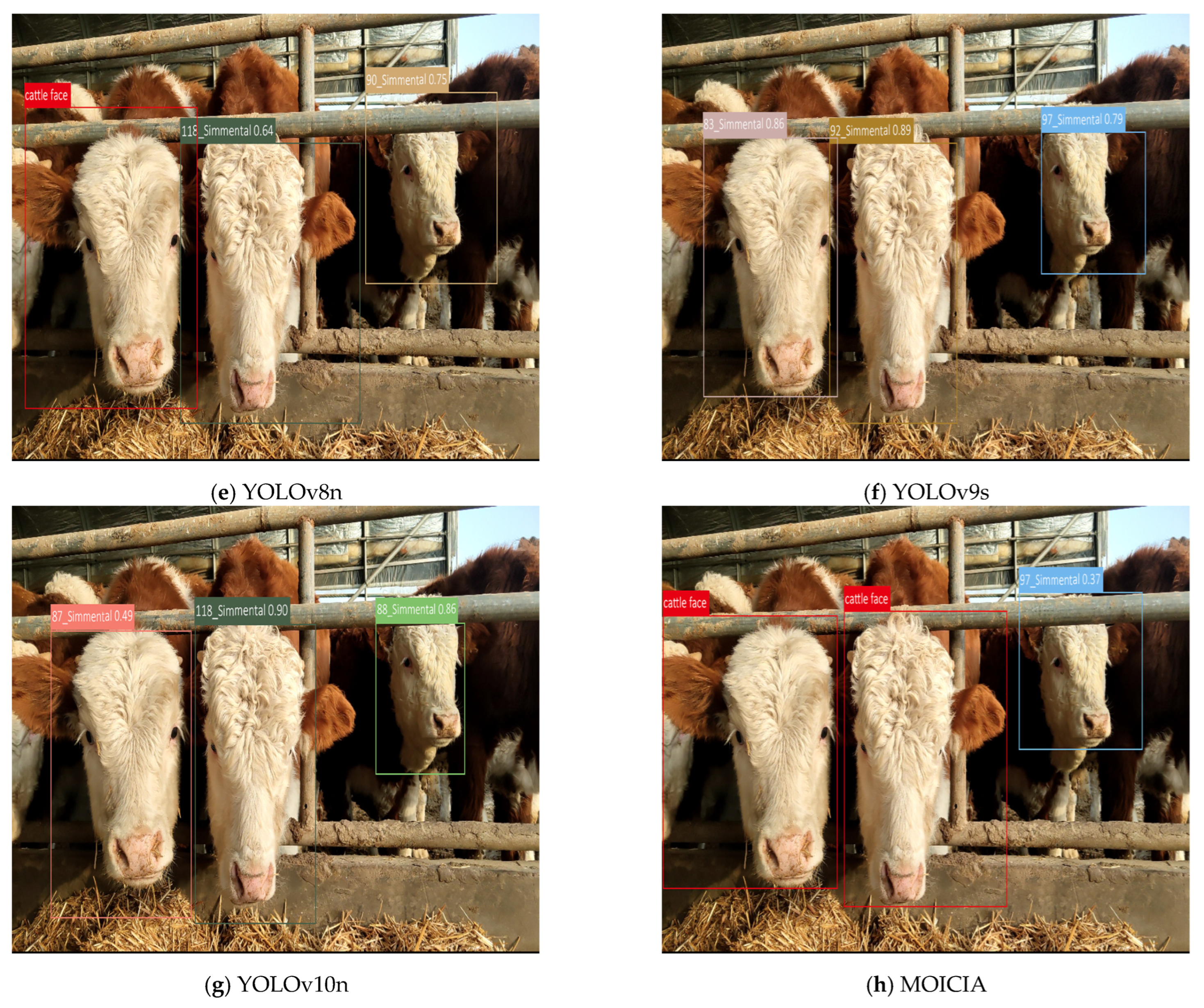 Agriculture 15 02536 g010b Agriculture 15 02536 g010b
