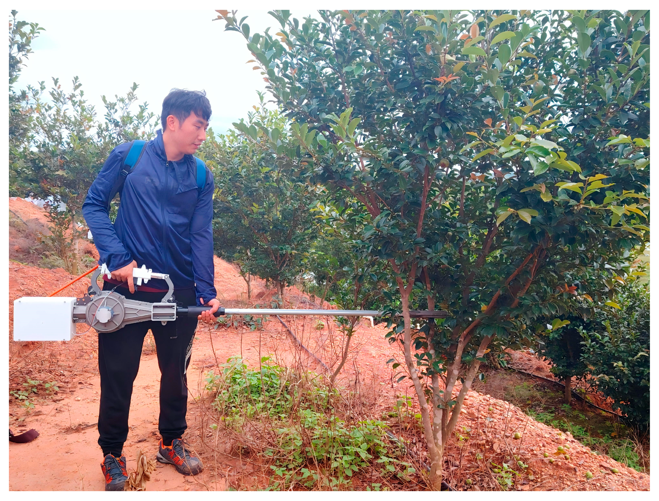 Agriculture 15 02585 g013