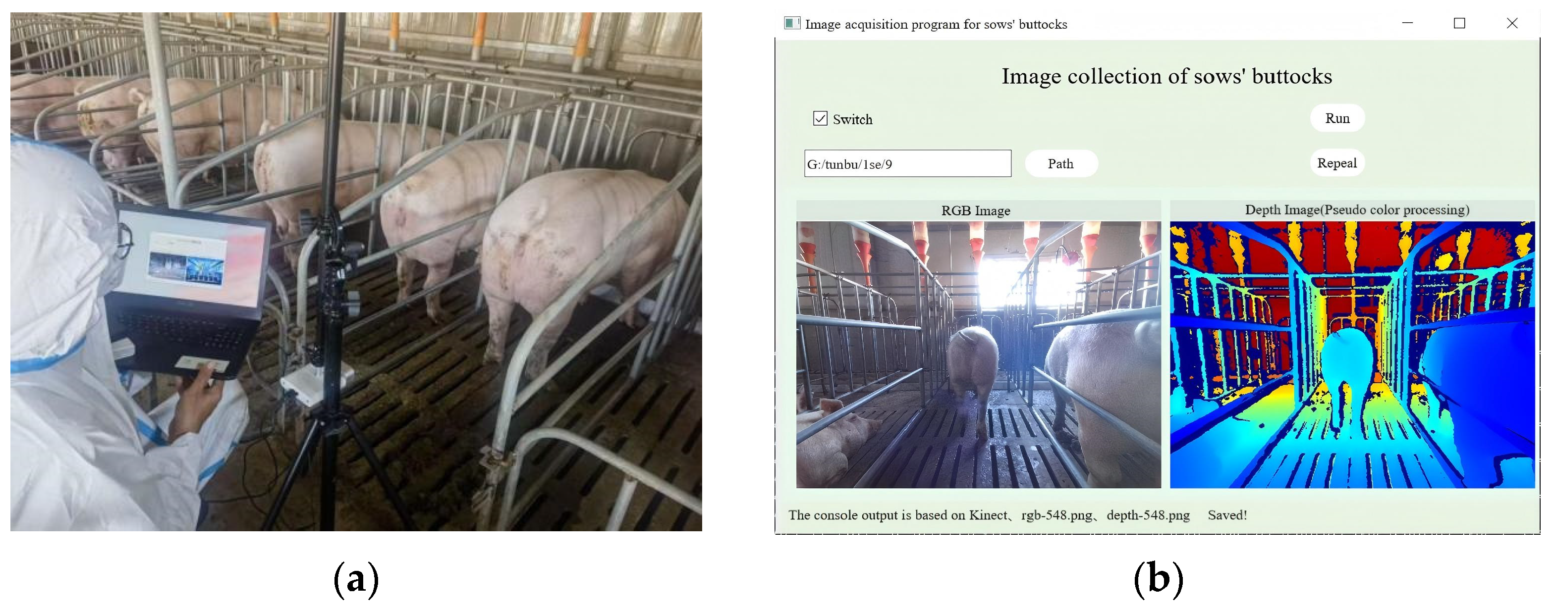 Agriculture 16 00138 g002 Agriculture 16 00138 g002