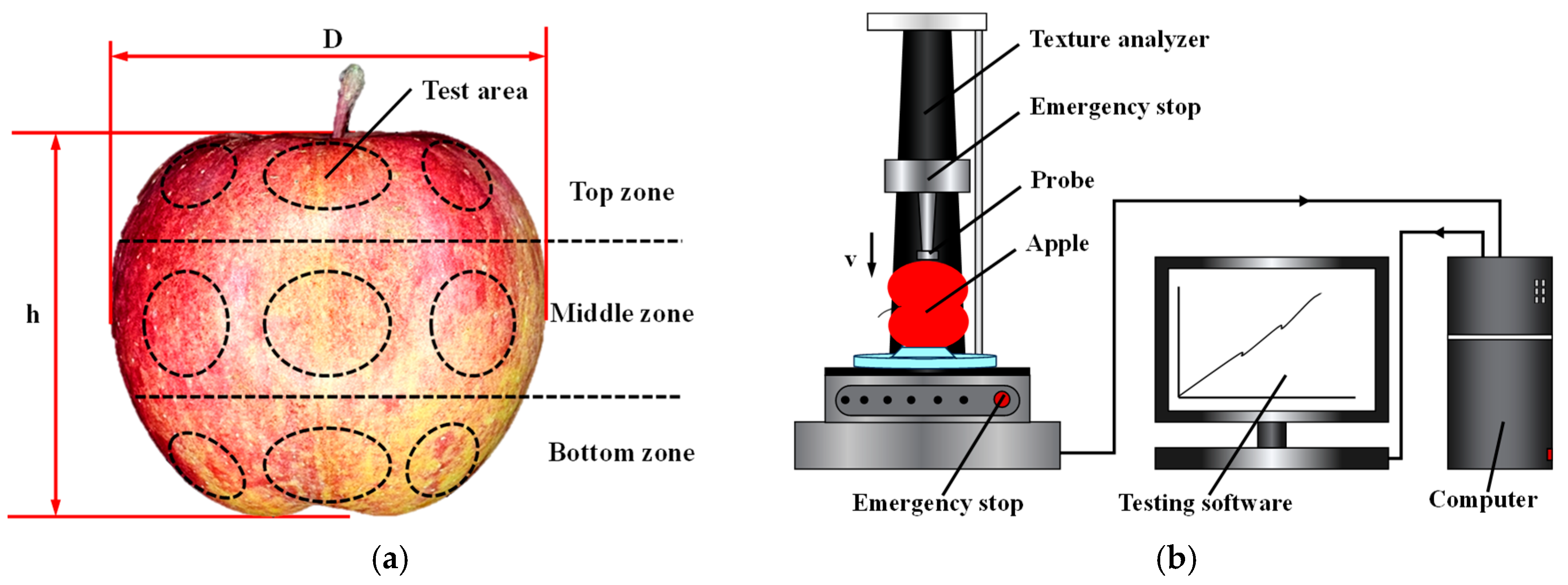 Agriculture 16 00178 g001
