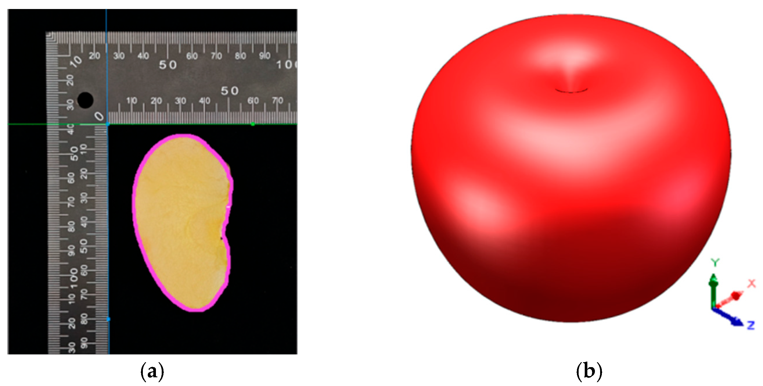 Agriculture 16 00178 g005