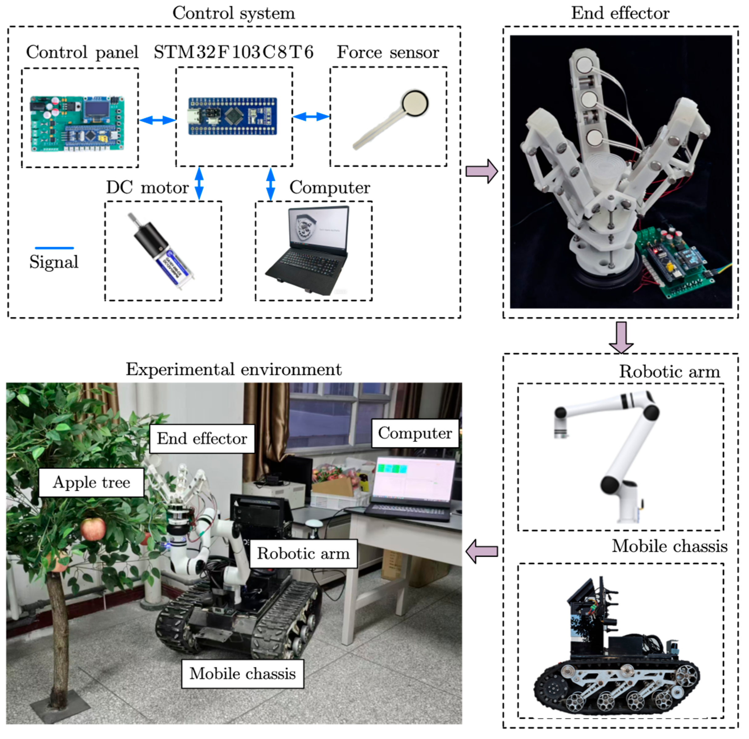 Agriculture 16 00178 g008