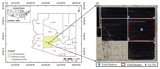 (a) Geographic location and (b) cotton field layout at Maricopa County, AZ, USA.
