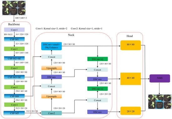 Overall structure of the Light-YOLO-Pepper model.