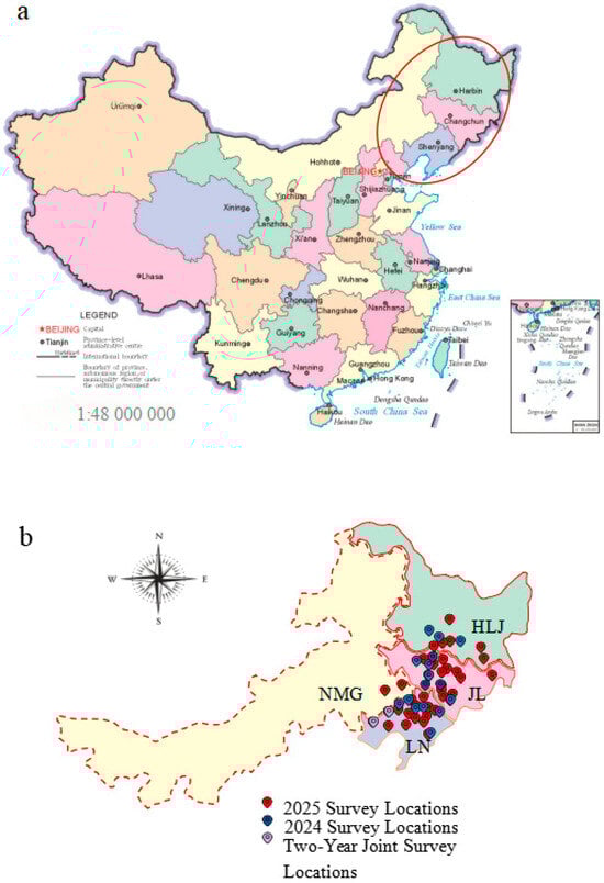 Agriculture 16 00249 g001