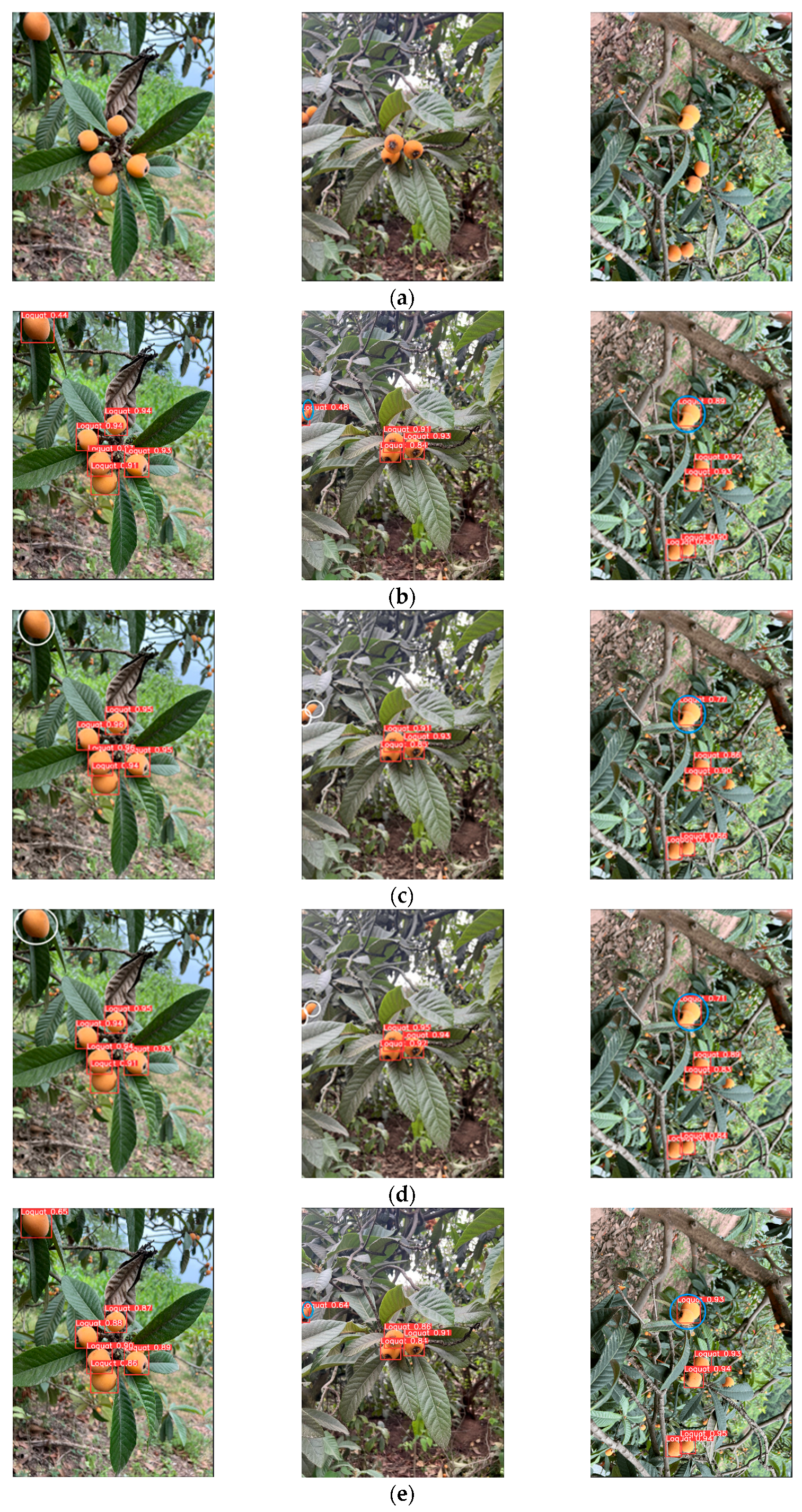 Agriculture 16 00262 g009a