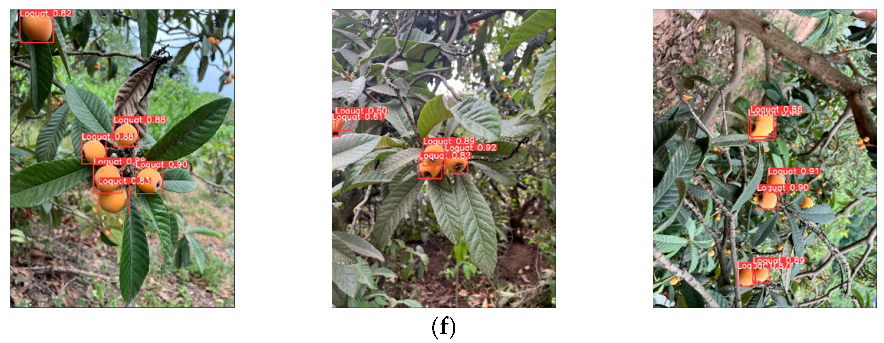 Agriculture 16 00262 g009b