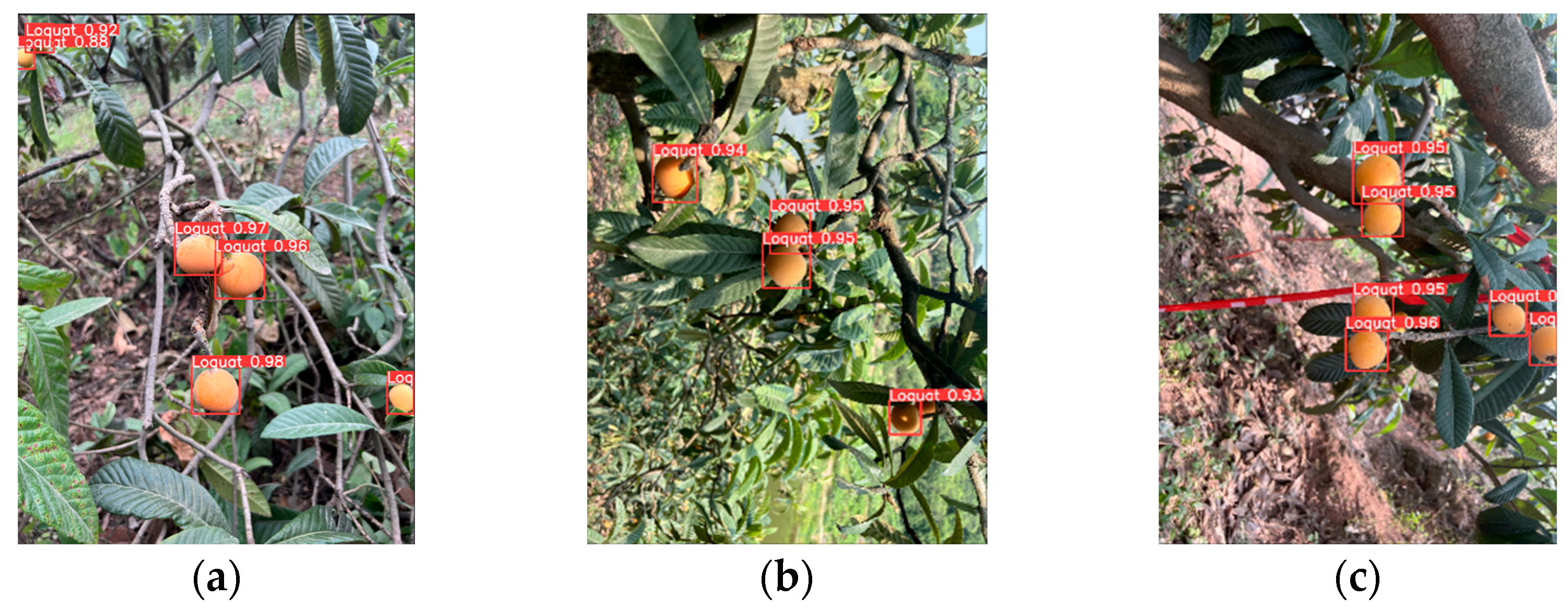 Agriculture 16 00262 g011a