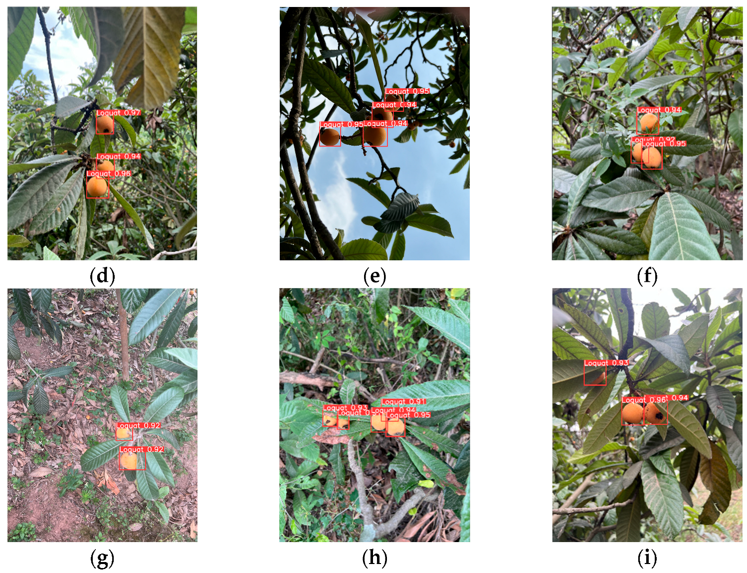 Agriculture 16 00262 g011b