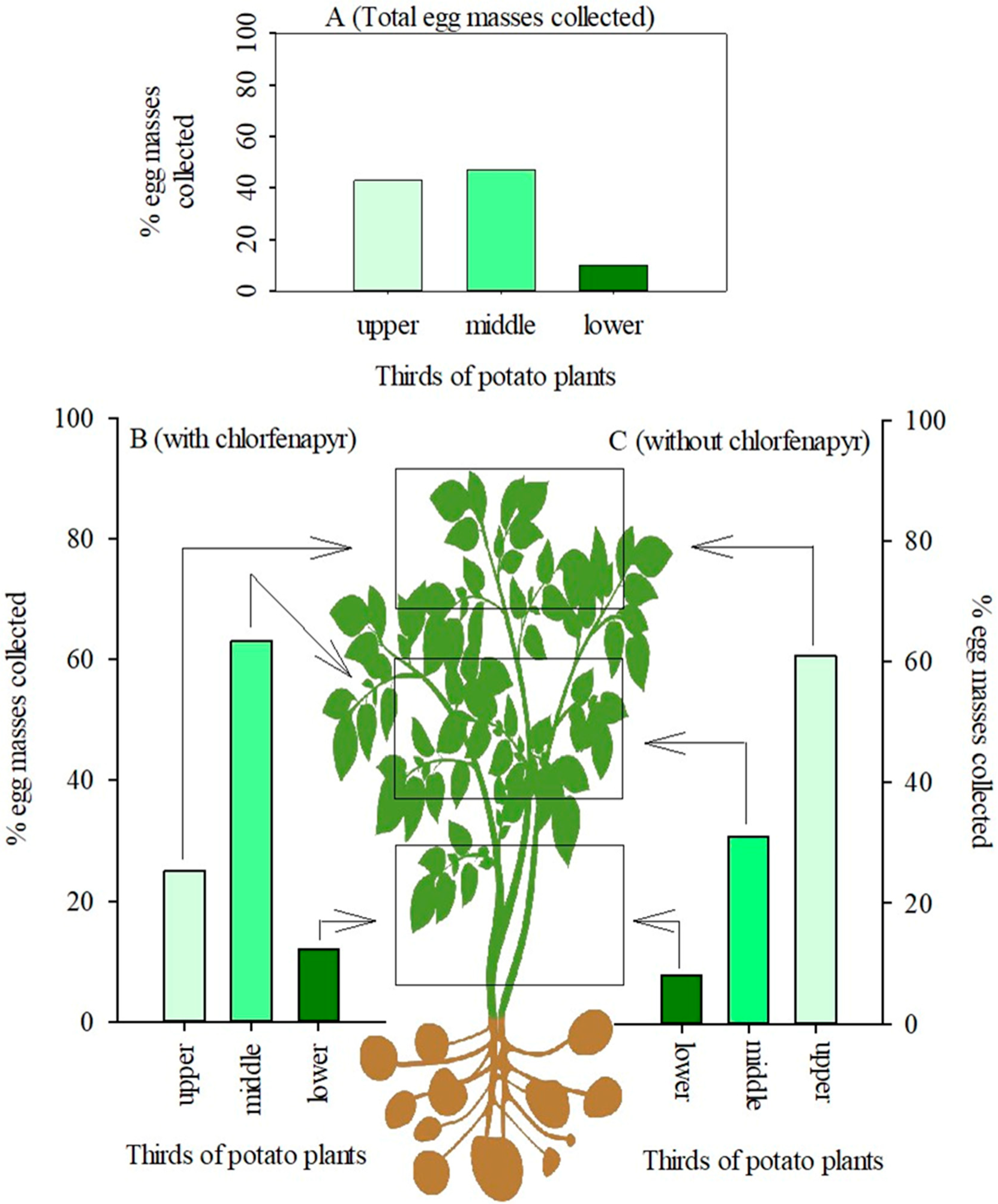 Agriculture 16 00266 g002