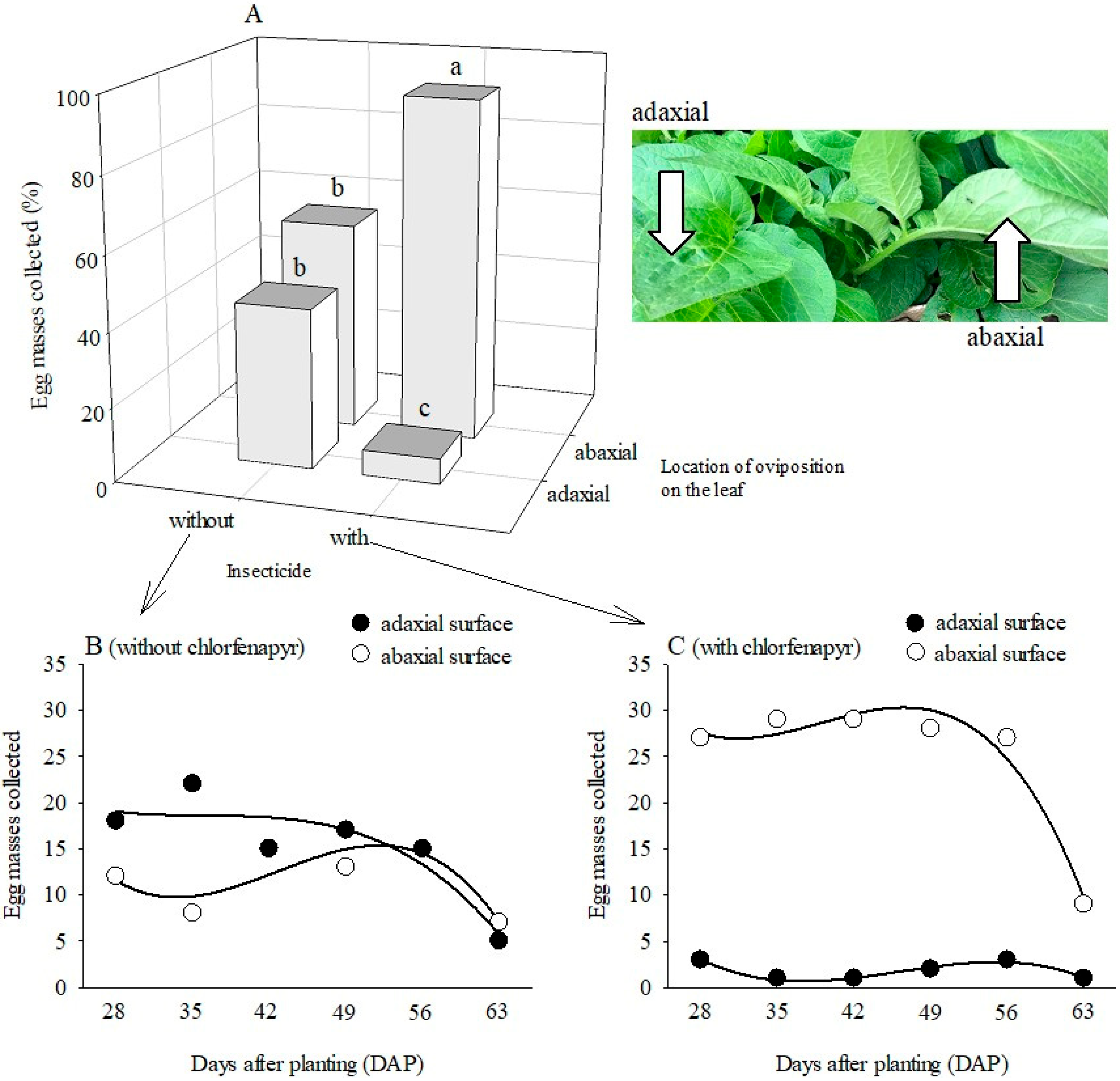 Agriculture 16 00266 g005