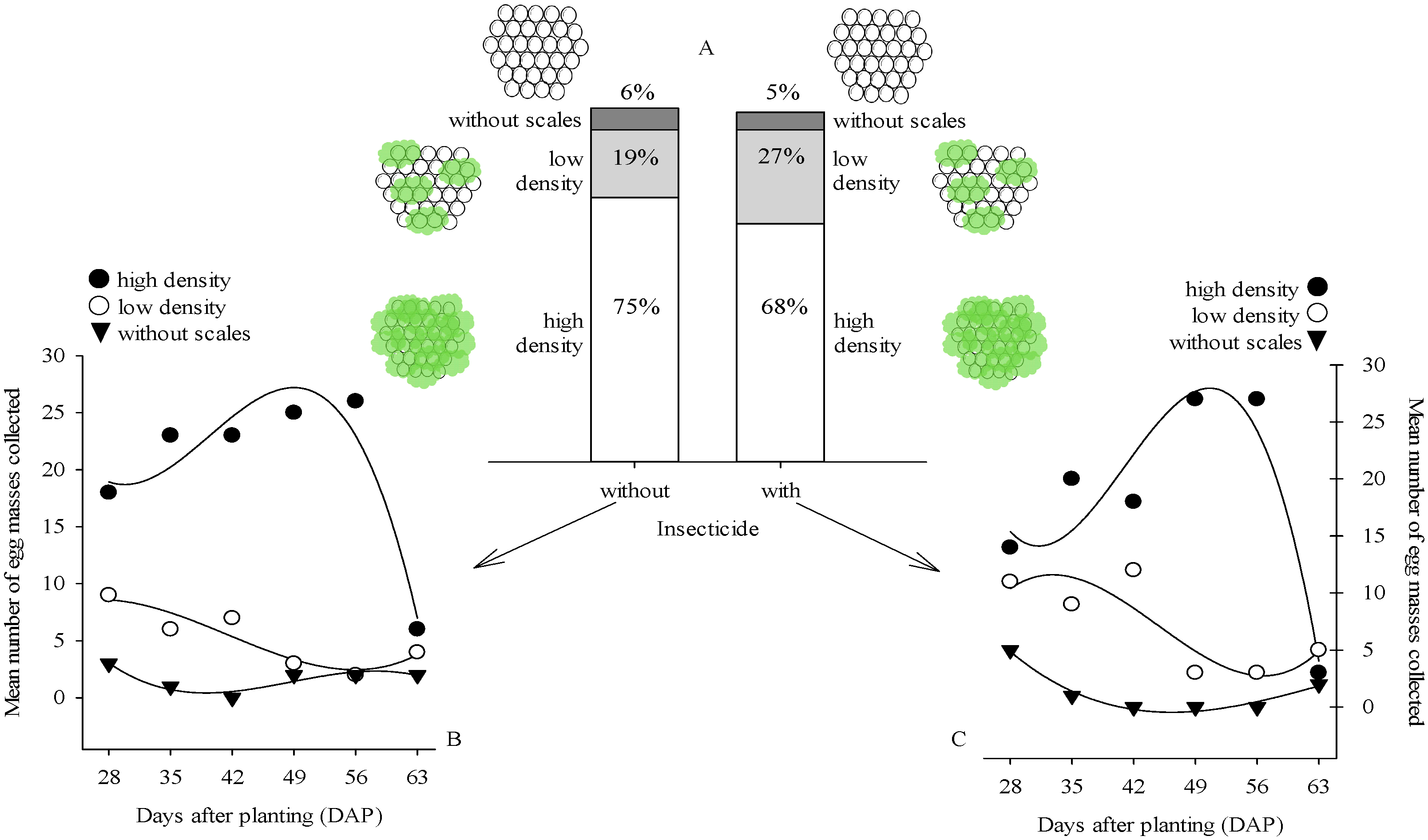 Agriculture 16 00266 g006