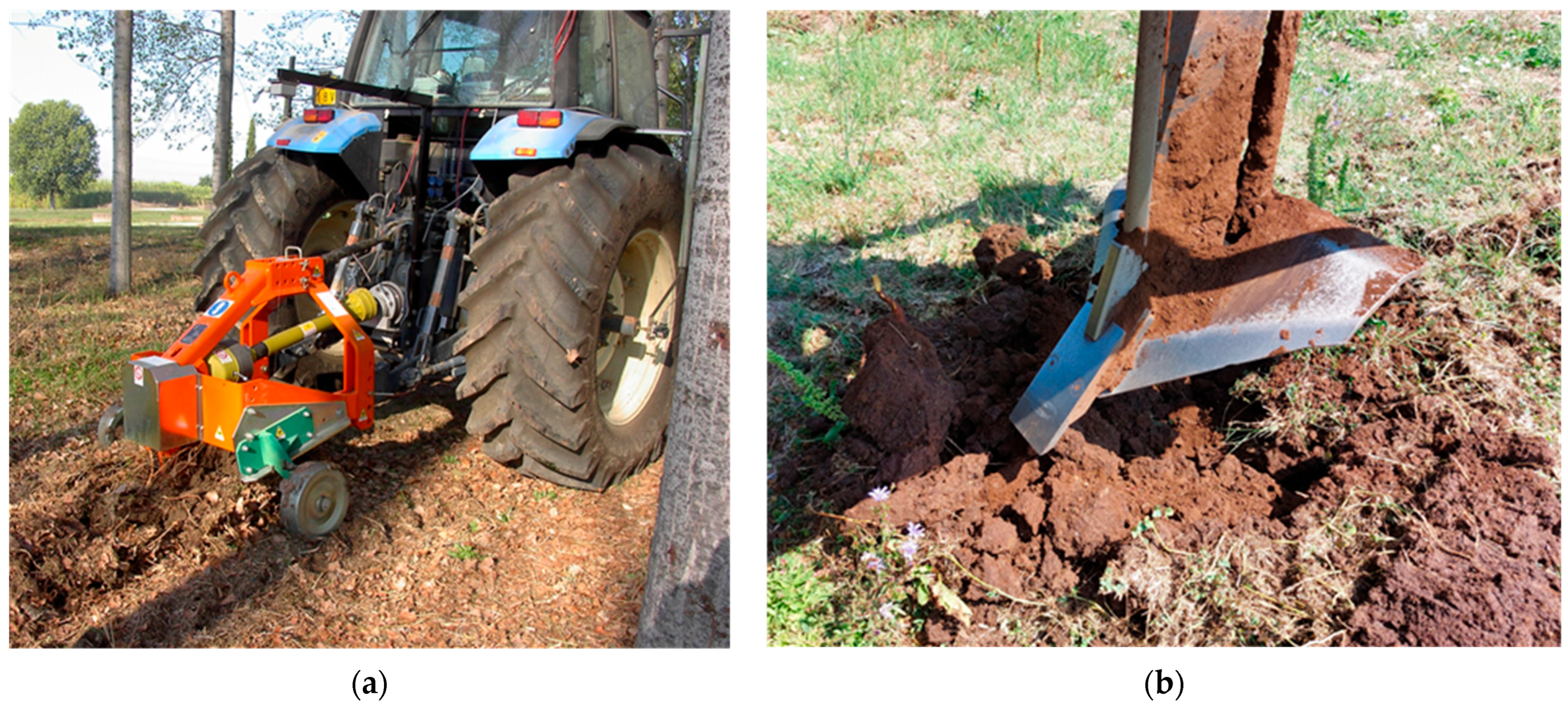 Agriculture 16 00339 g001 Agriculture 16 00339 g001