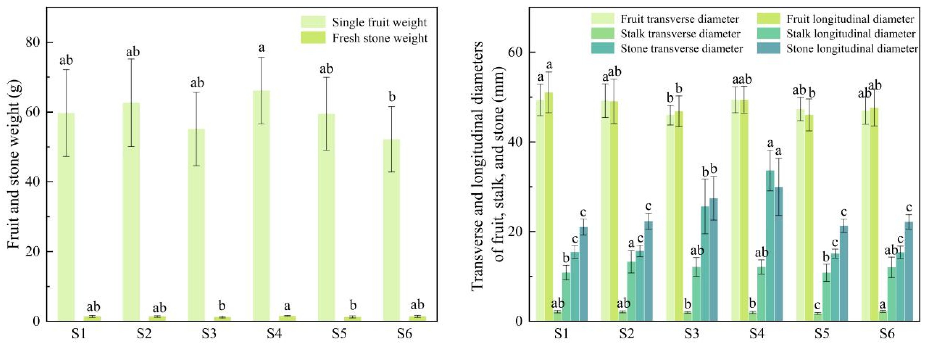Agriculture 16 00343 g004