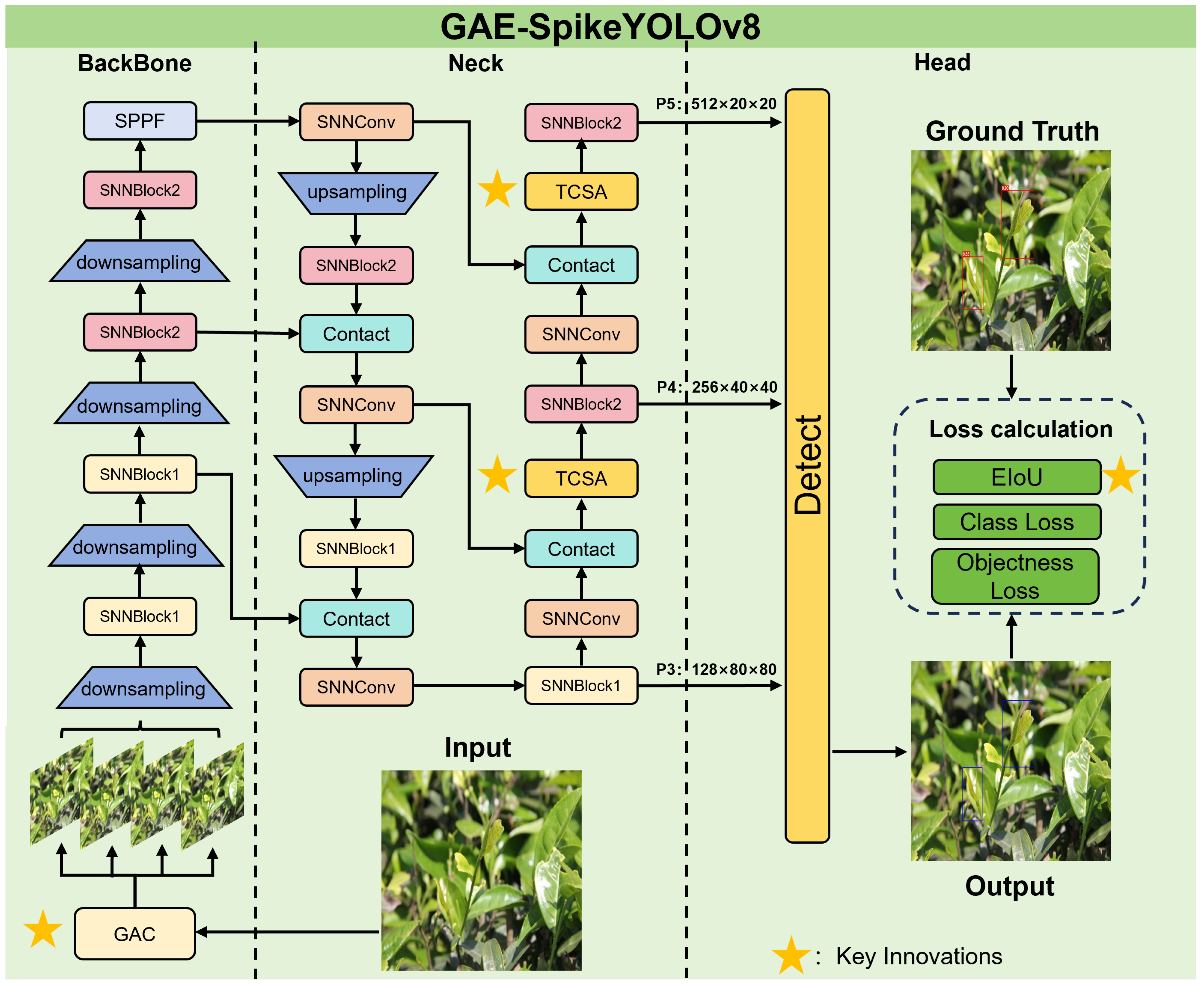 Agriculture 16 00353 g004 Agriculture 16 00353 g004