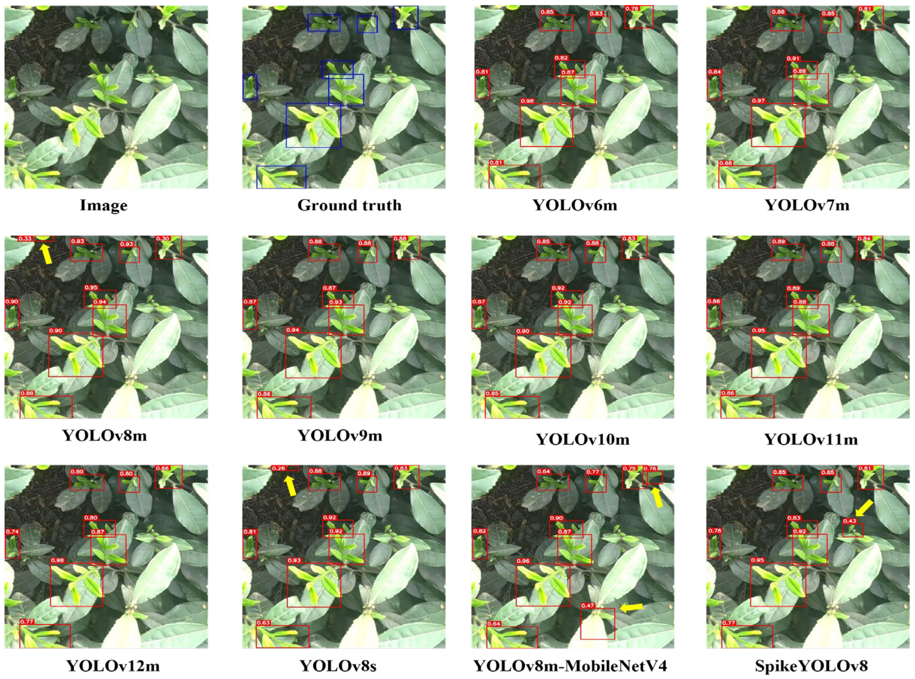 Agriculture 16 00353 g007 Agriculture 16 00353 g007