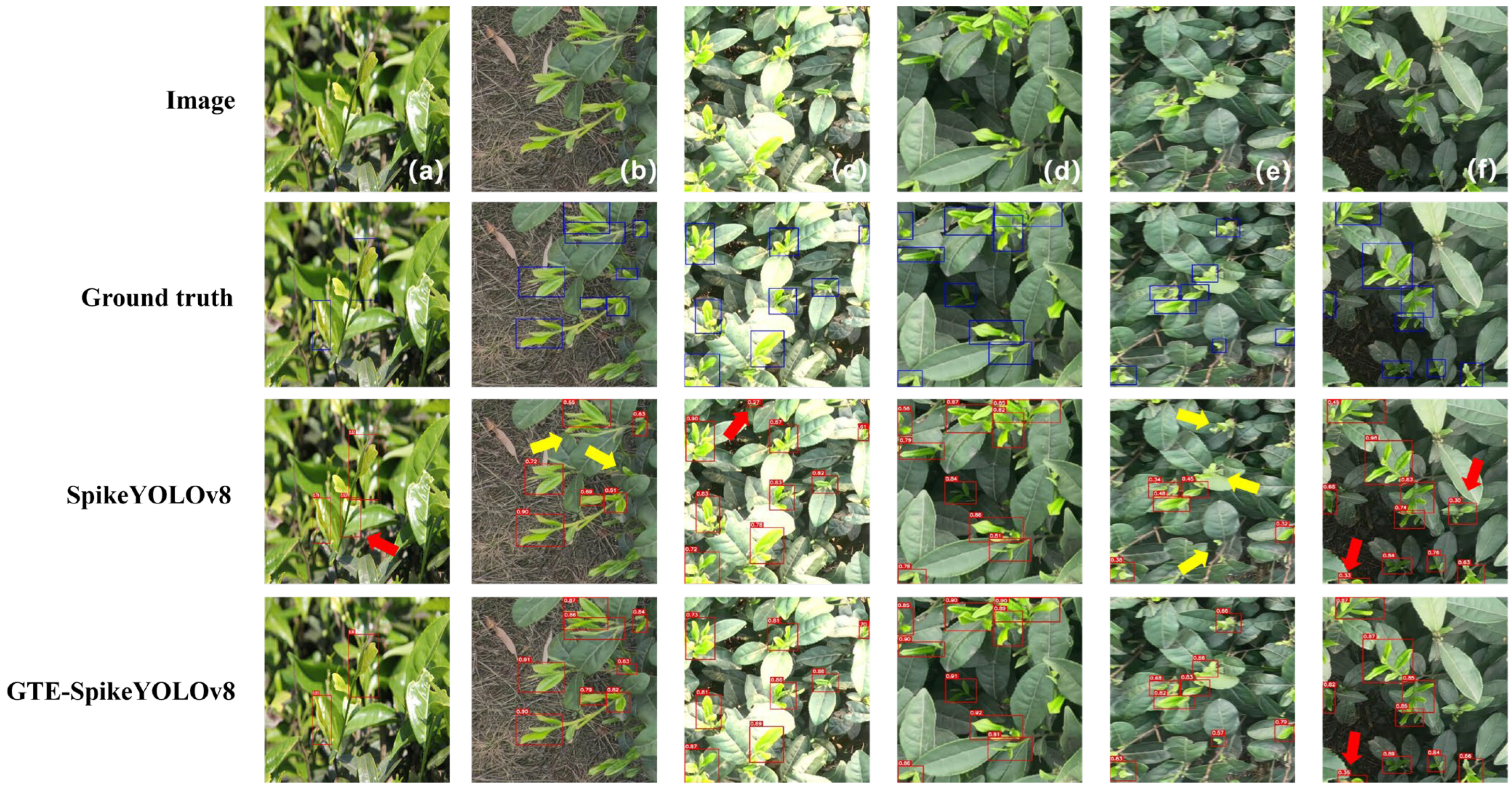 Agriculture 16 00353 g008 Agriculture 16 00353 g008