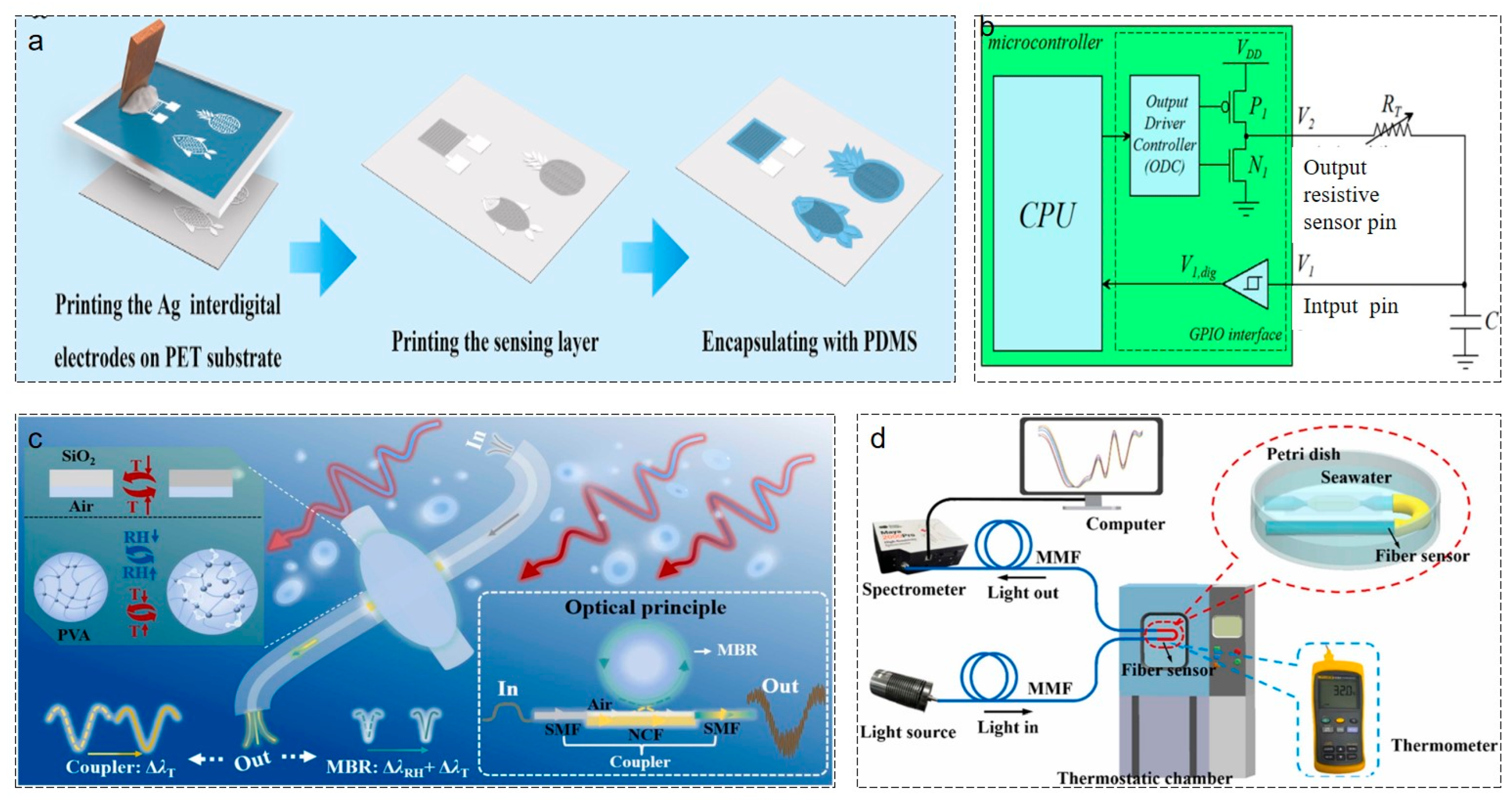 Agriculture 16 00359 g004