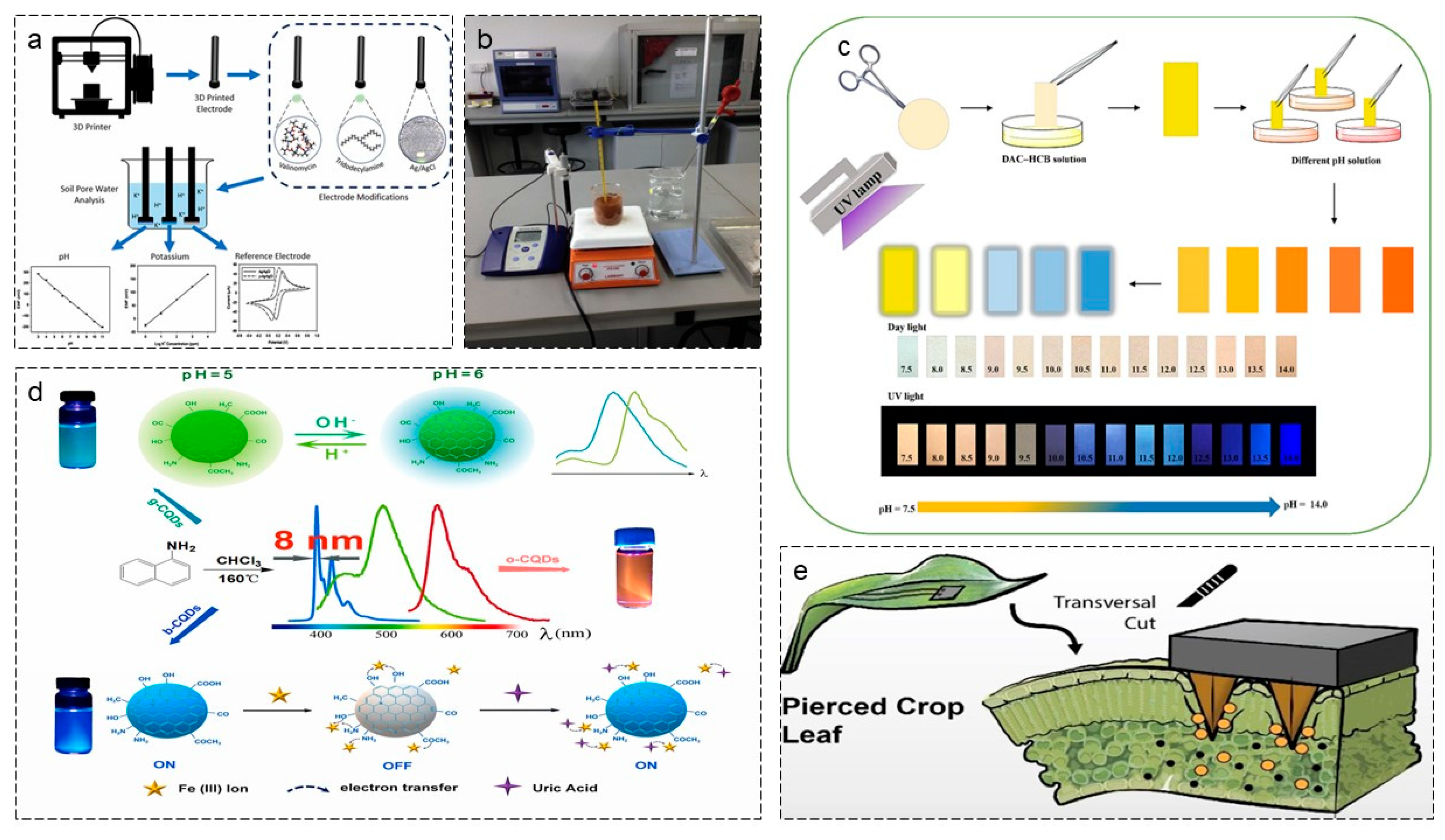 Agriculture 16 00359 g006