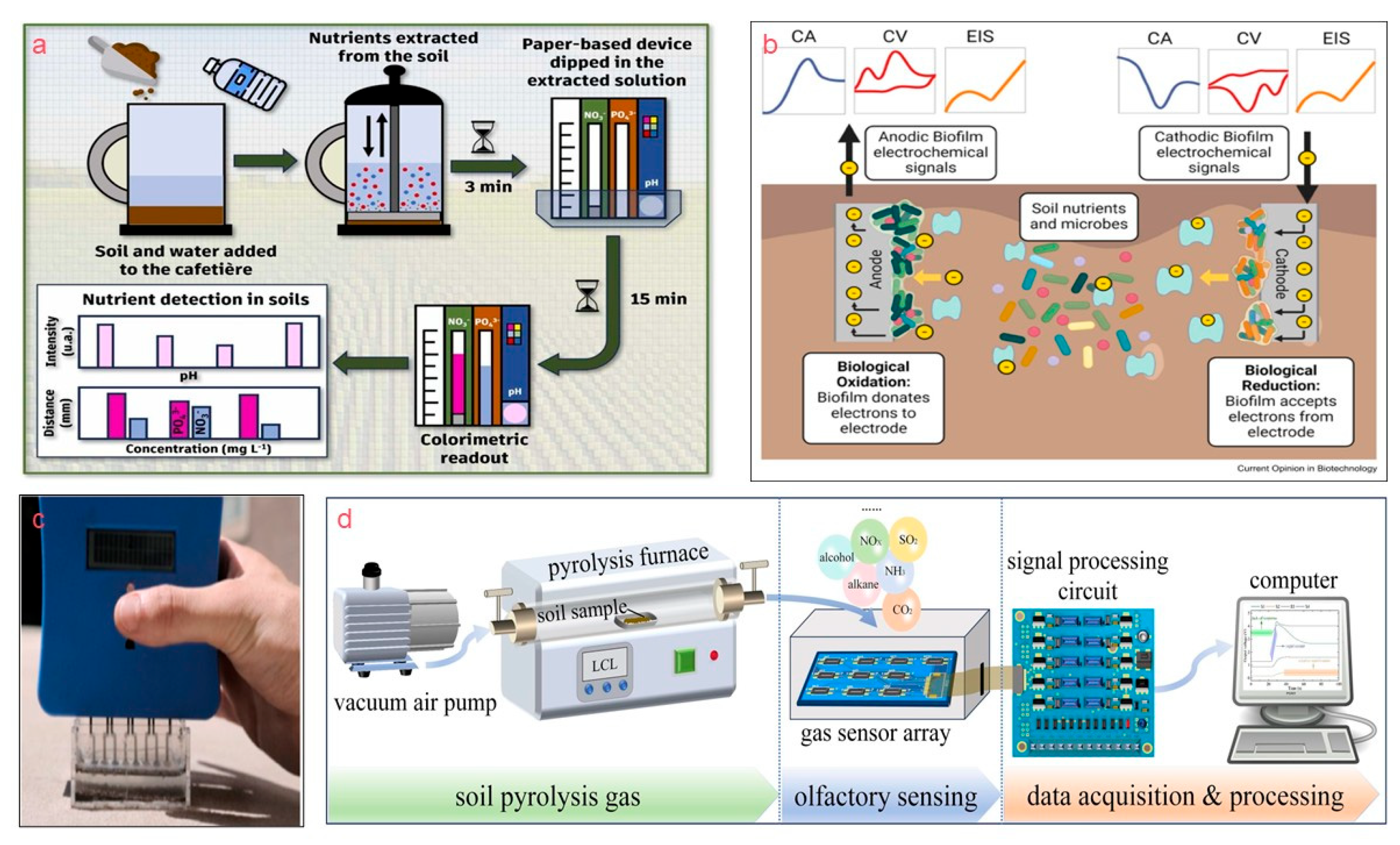 Agriculture 16 00359 g007