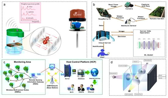 Agriculture 16 00359 g009