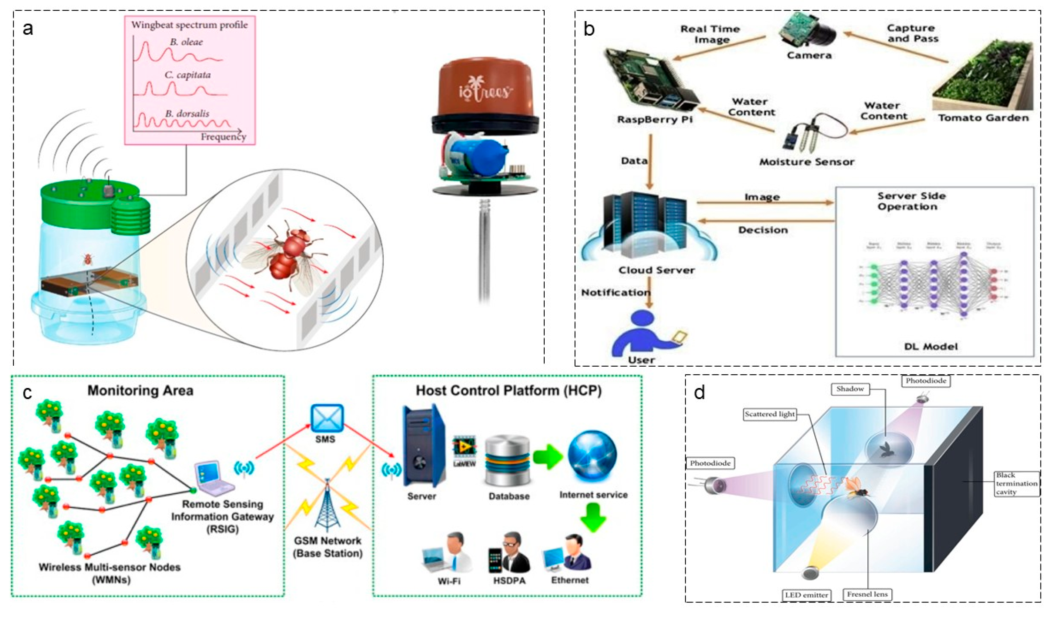 Agriculture 16 00359 g009