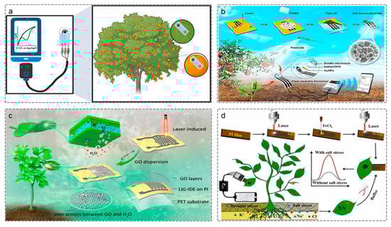 Agriculture 16 00359 g010
