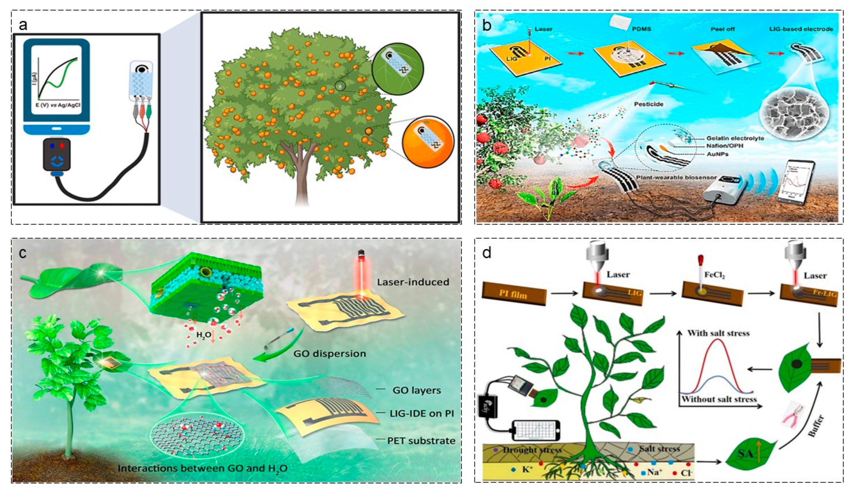 Agriculture 16 00359 g010