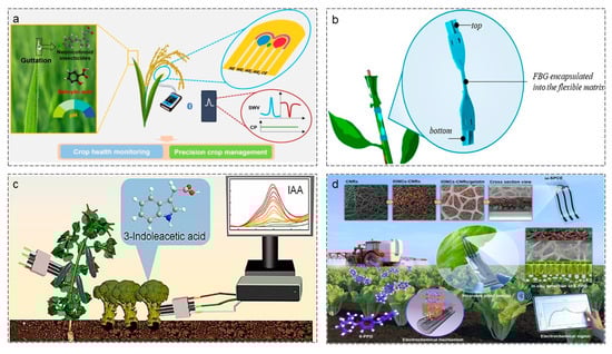 Agriculture 16 00359 g011