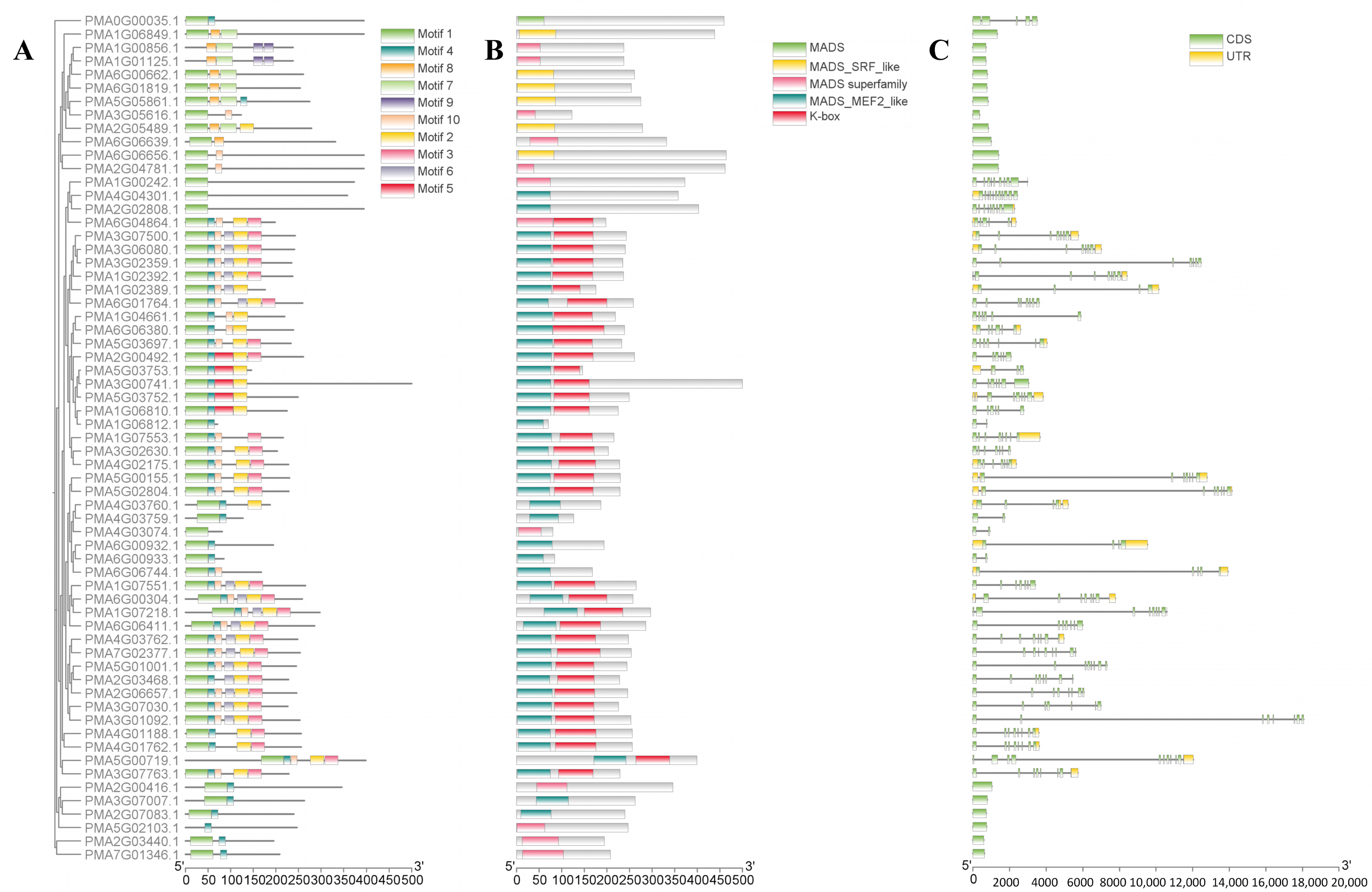 Agriculture 16 00373 g001
