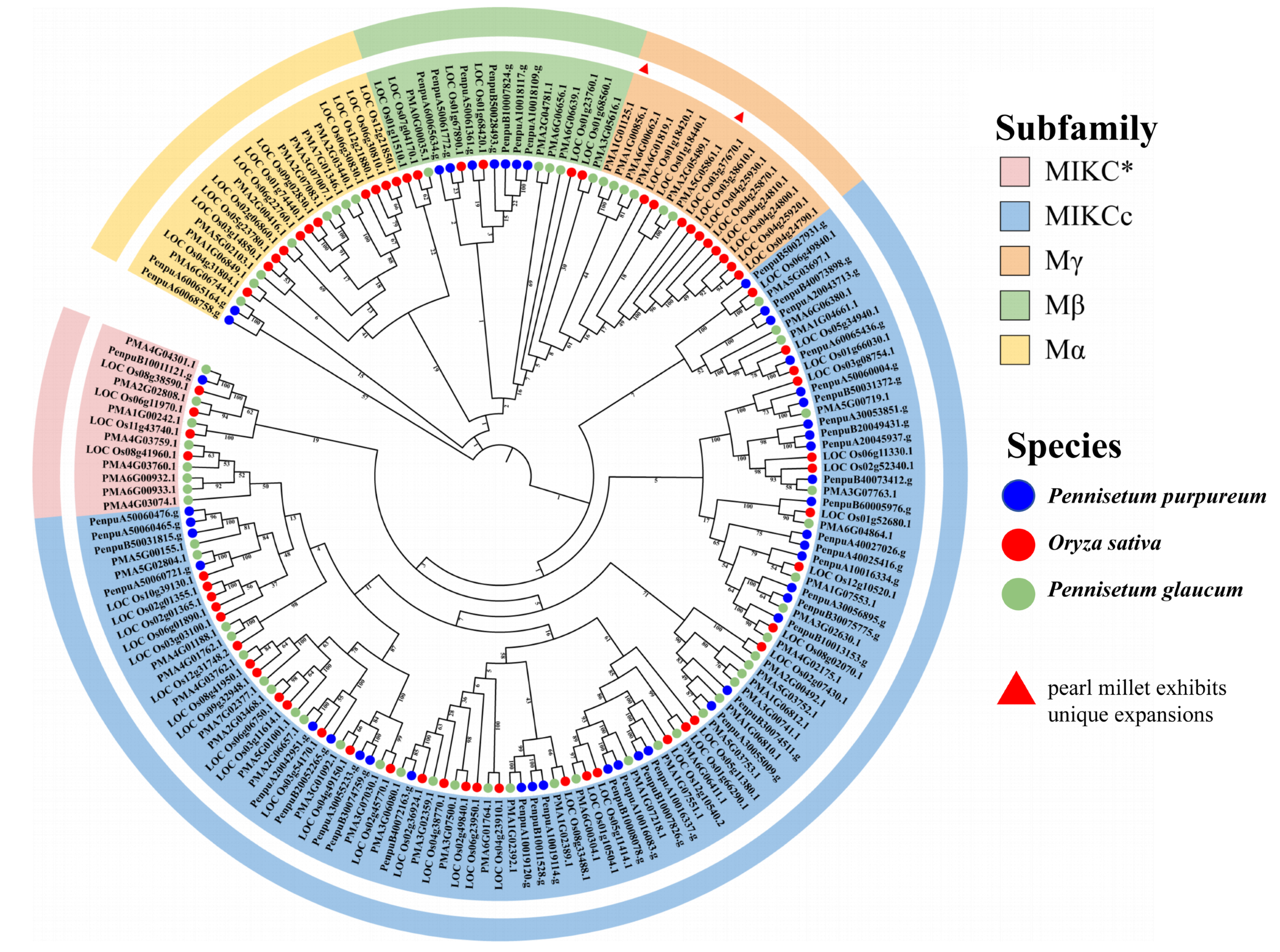 Agriculture 16 00373 g003