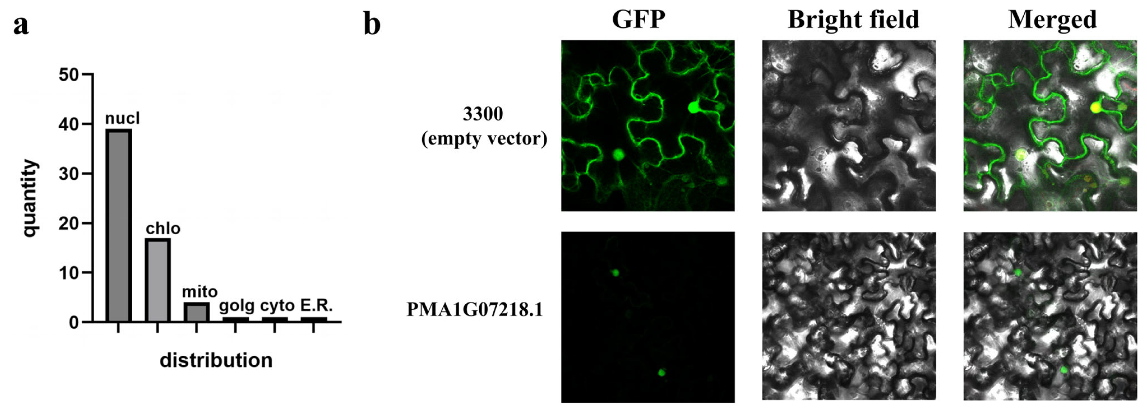 Agriculture 16 00373 g006