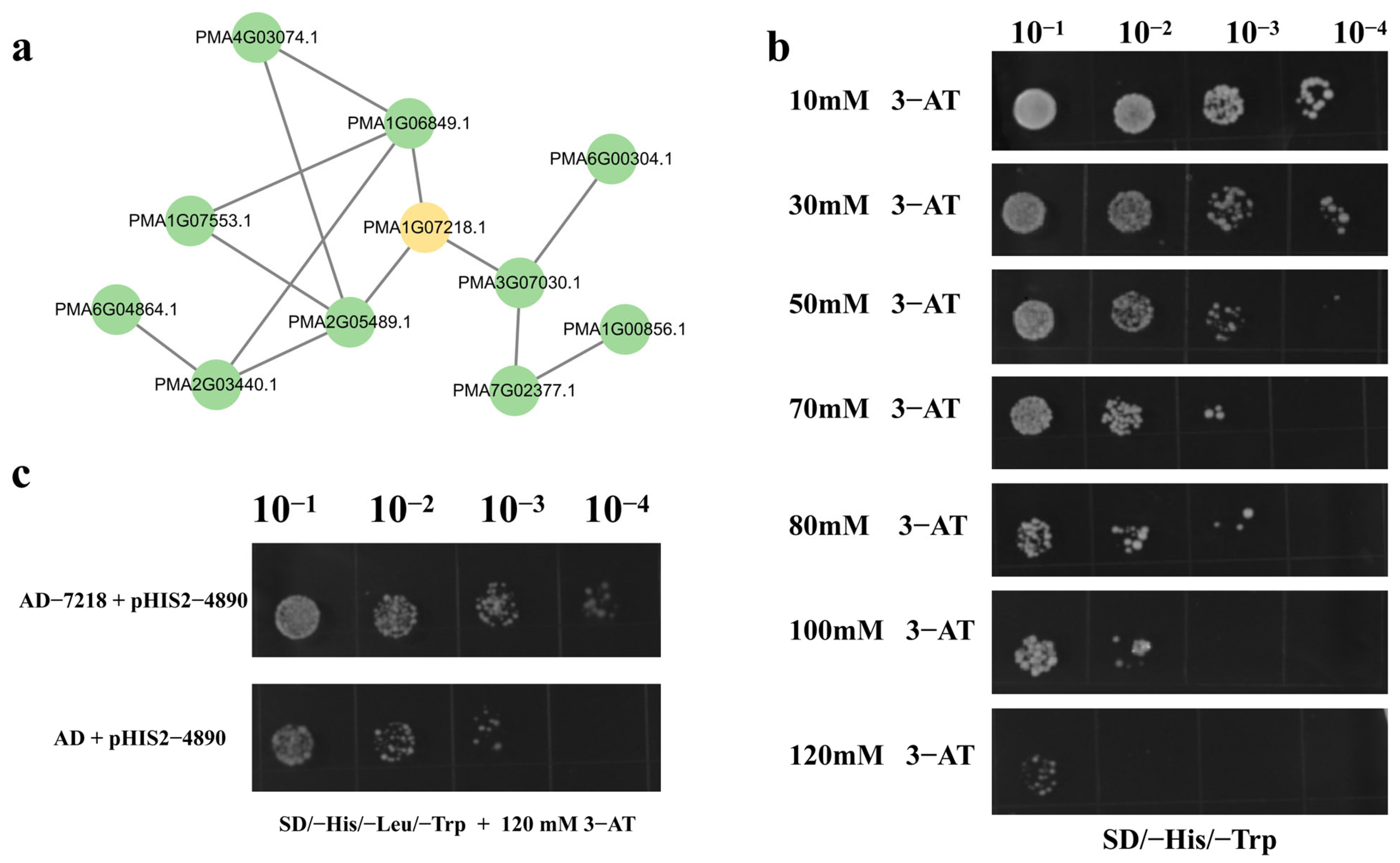 Agriculture 16 00373 g007
