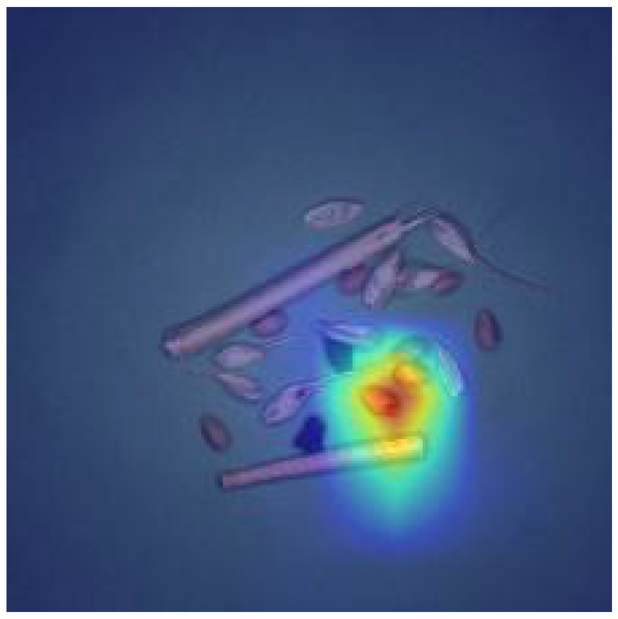 Agriculture 16 00578 g001