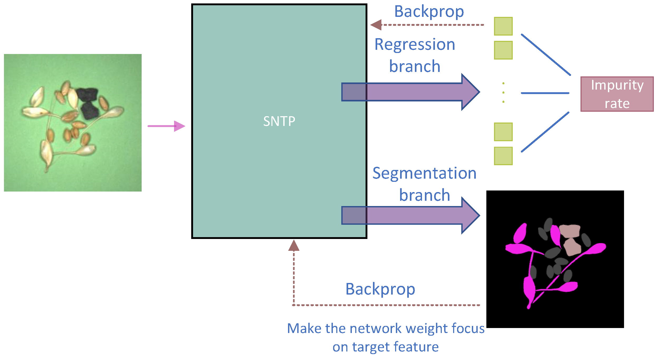 Agriculture 16 00578 g002