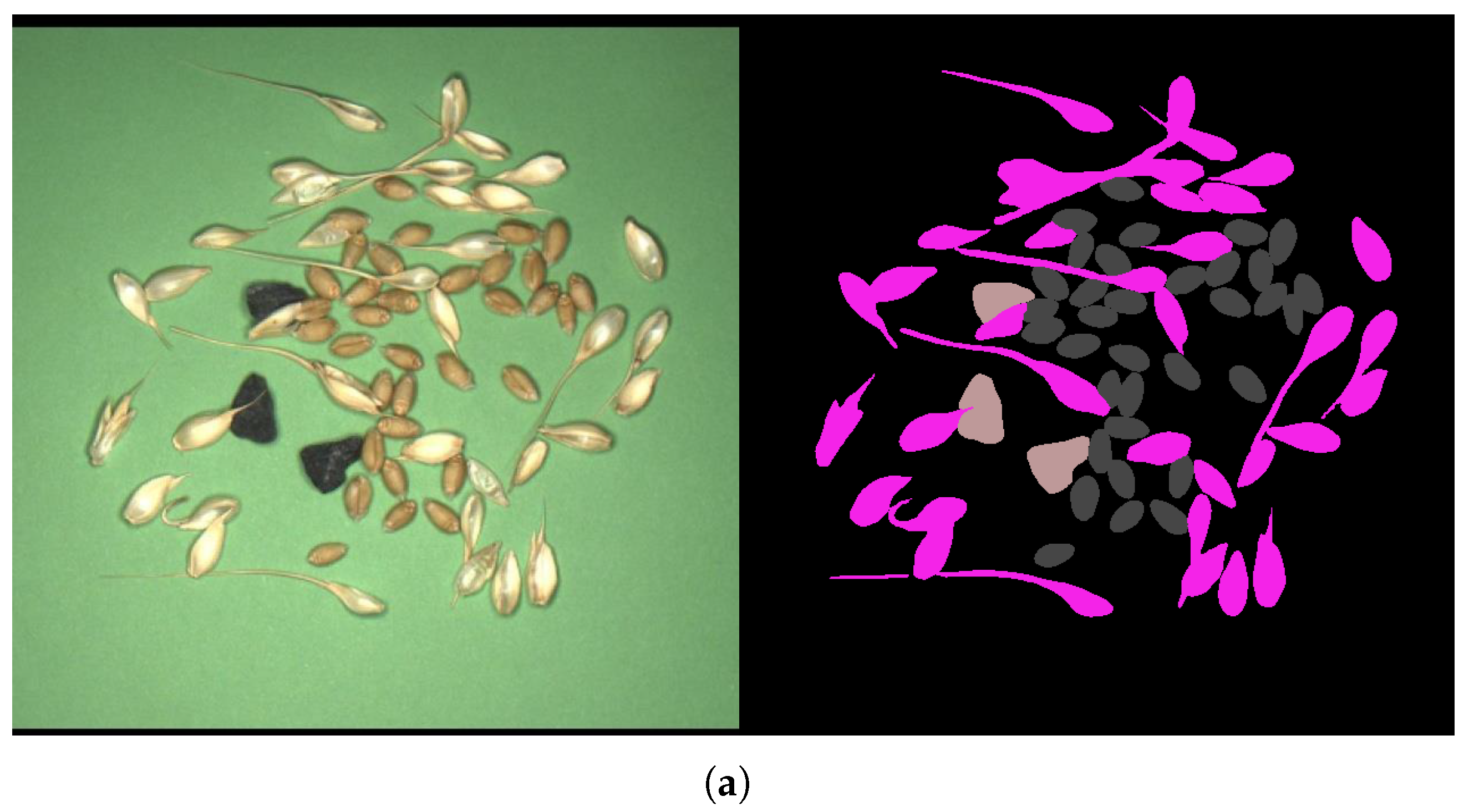 Agriculture 16 00578 g004a