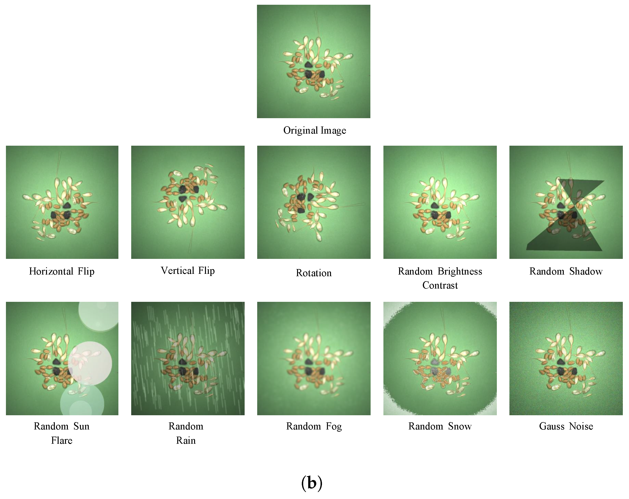 Agriculture 16 00578 g004b