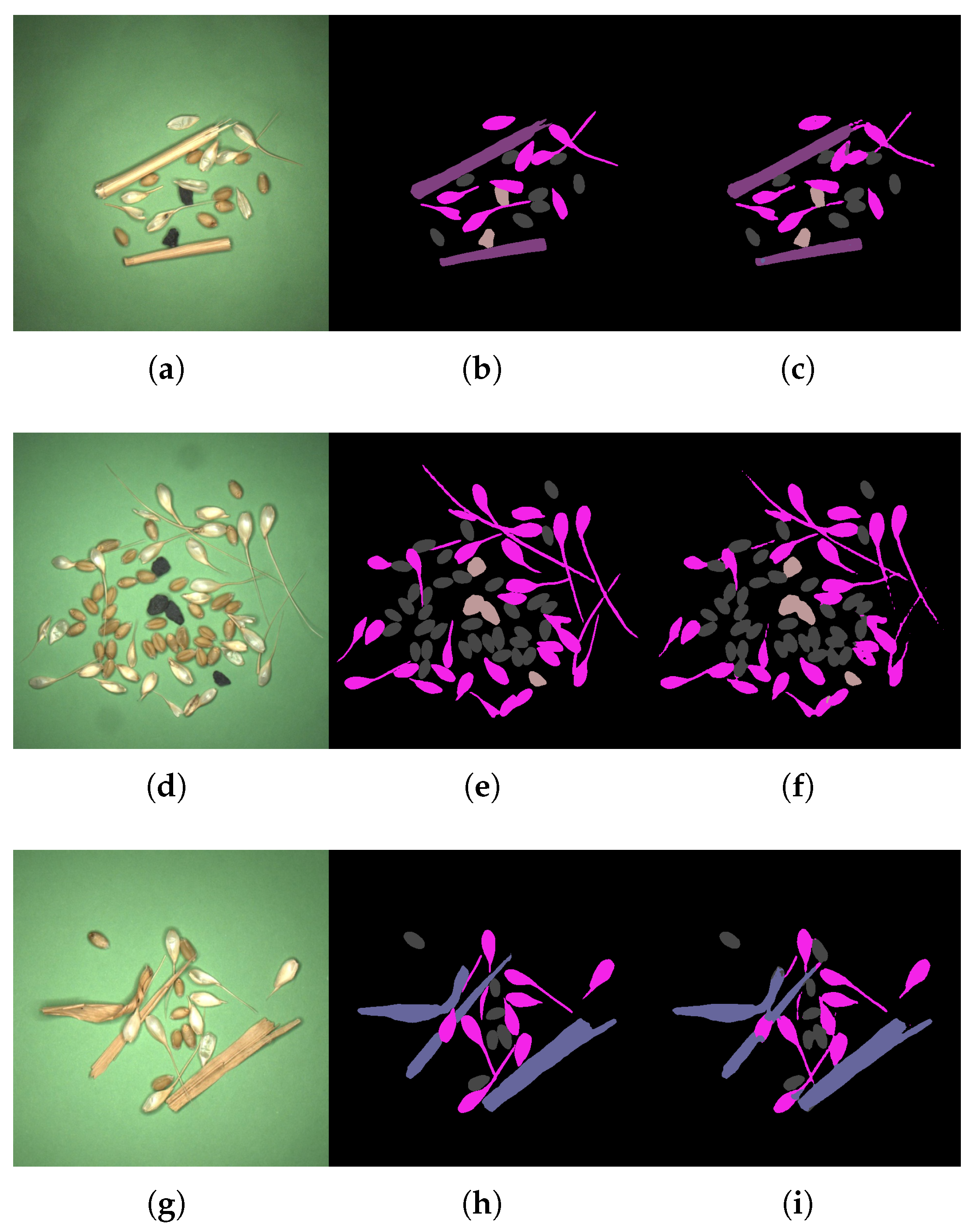 Agriculture 16 00578 g011