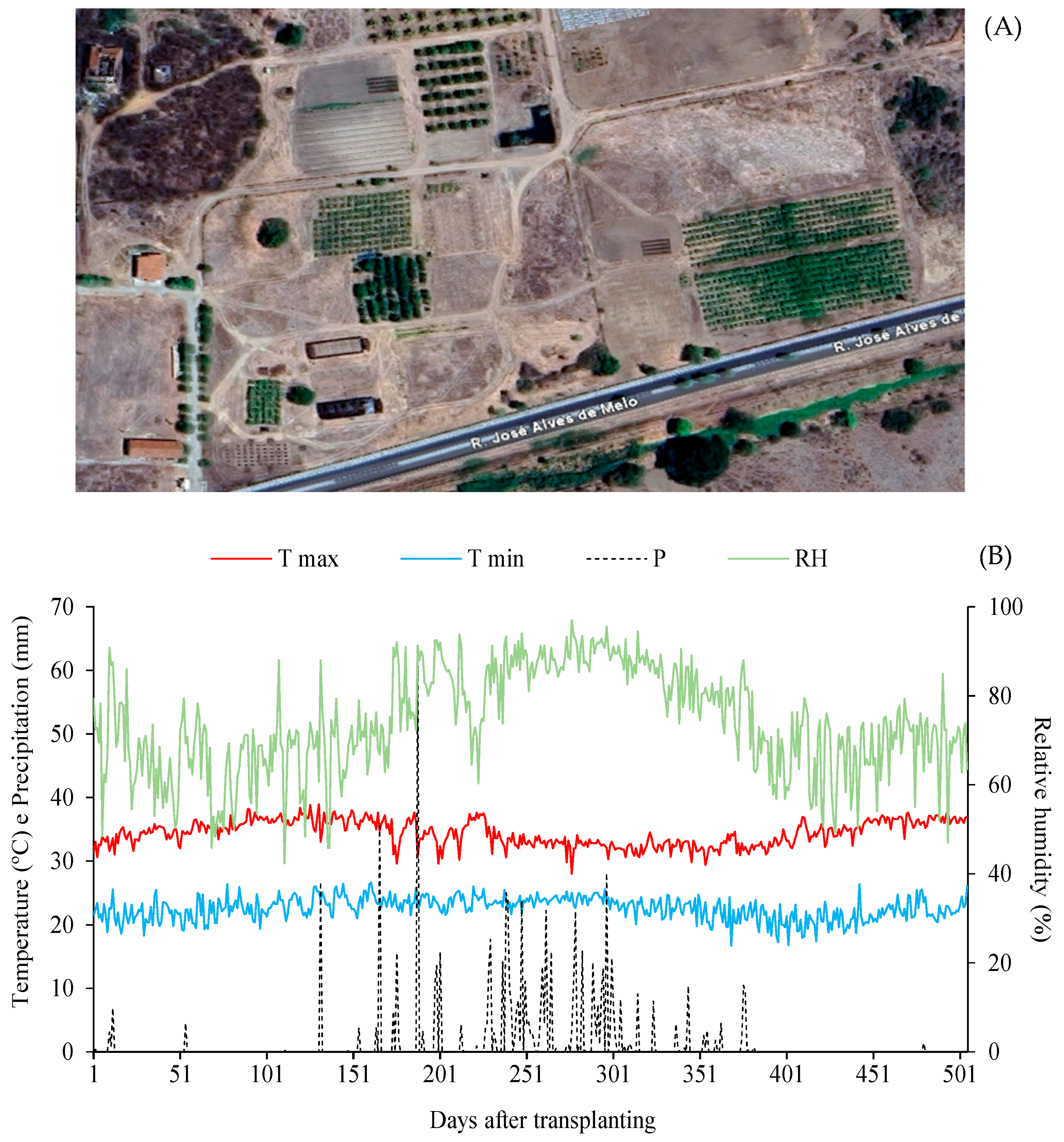 Agriculture 16 00652 g001
