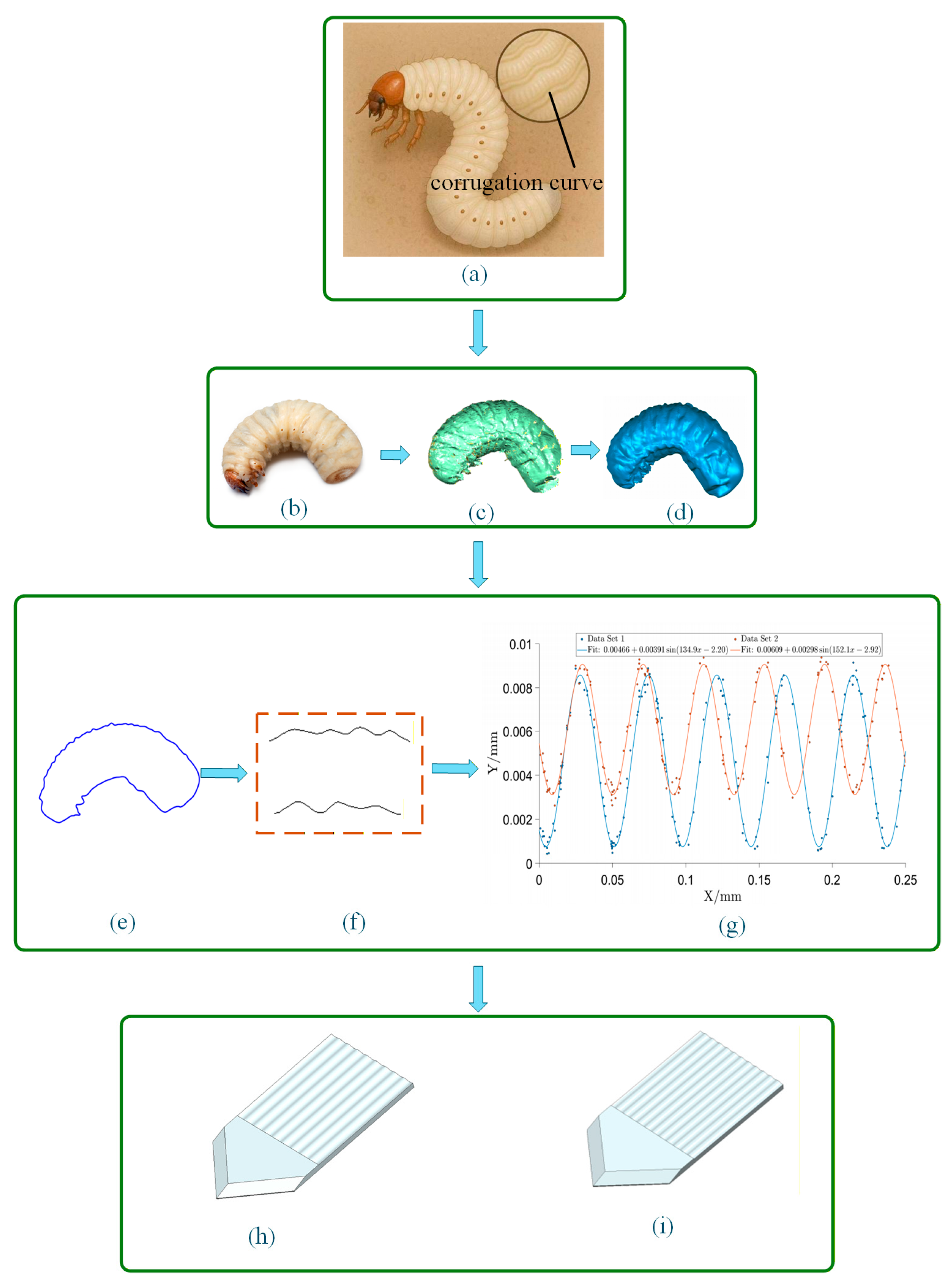 Agriculture 16 00698 g001