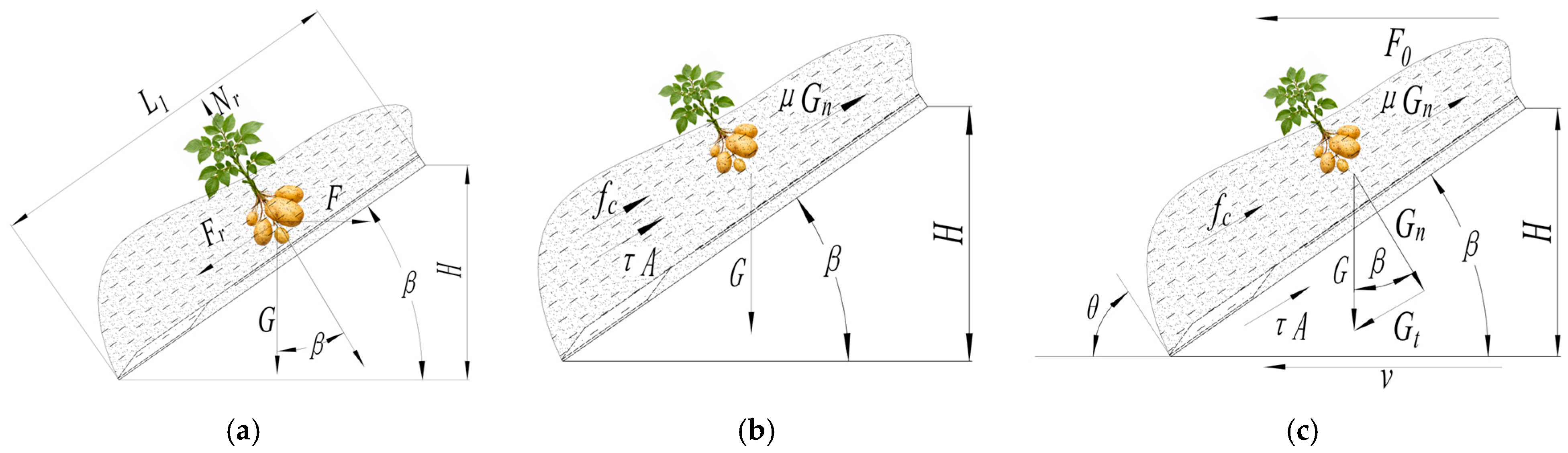 Agriculture 16 00698 g002