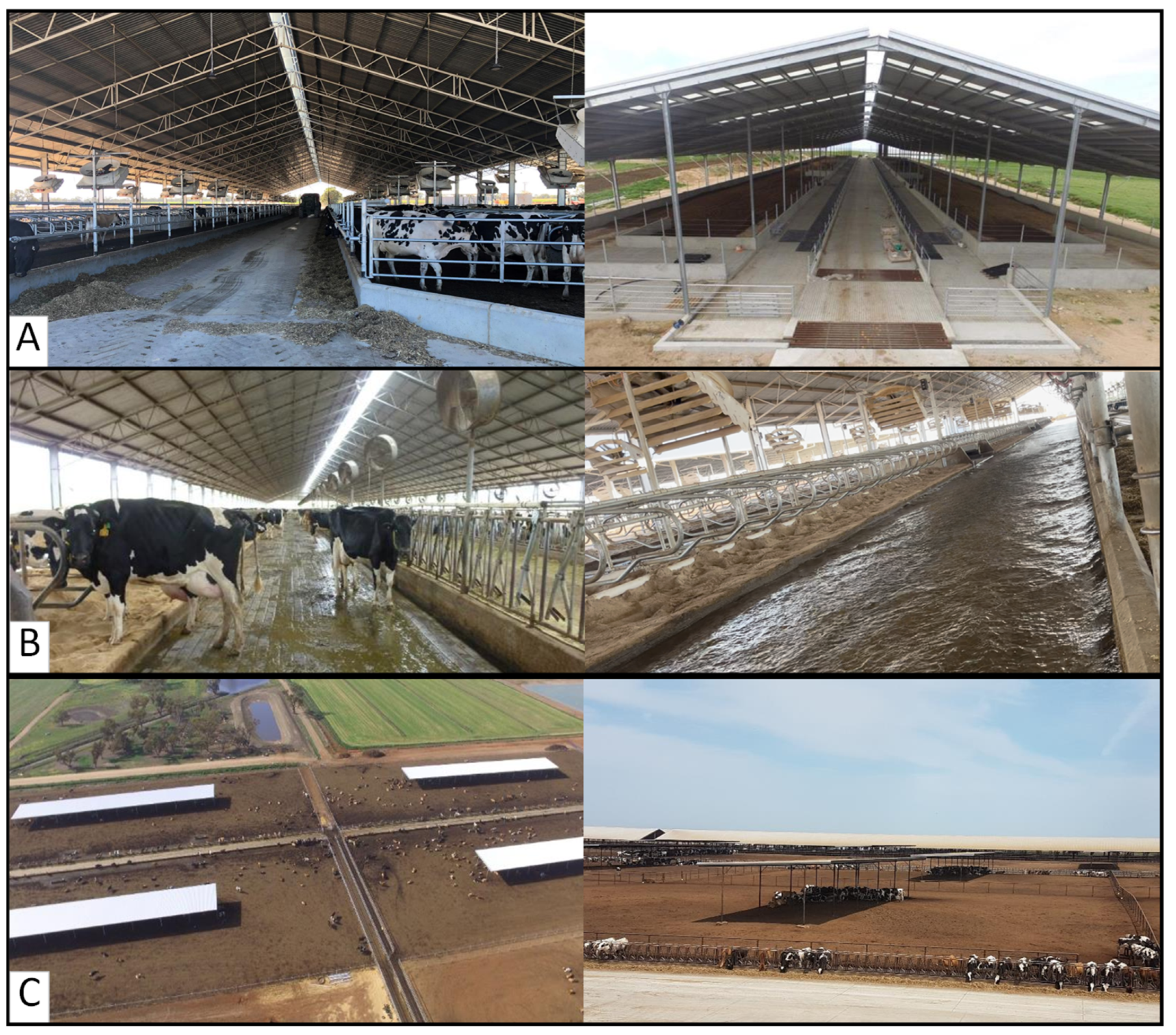 Agriculture 16 00747 g002