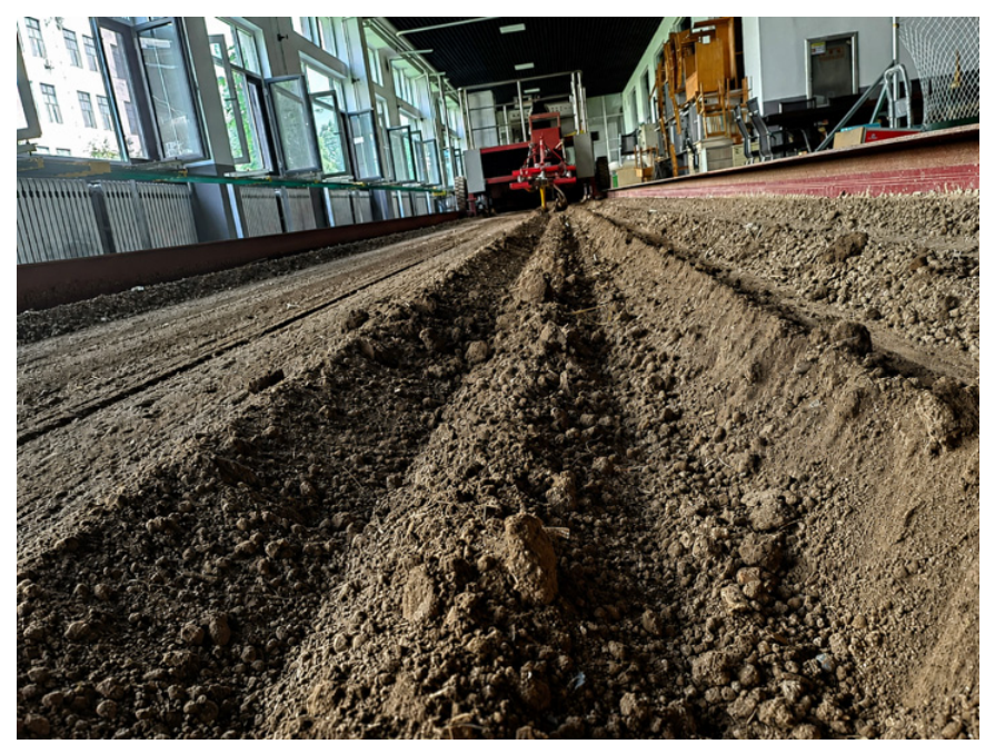 Agriculture 16 01055 g013