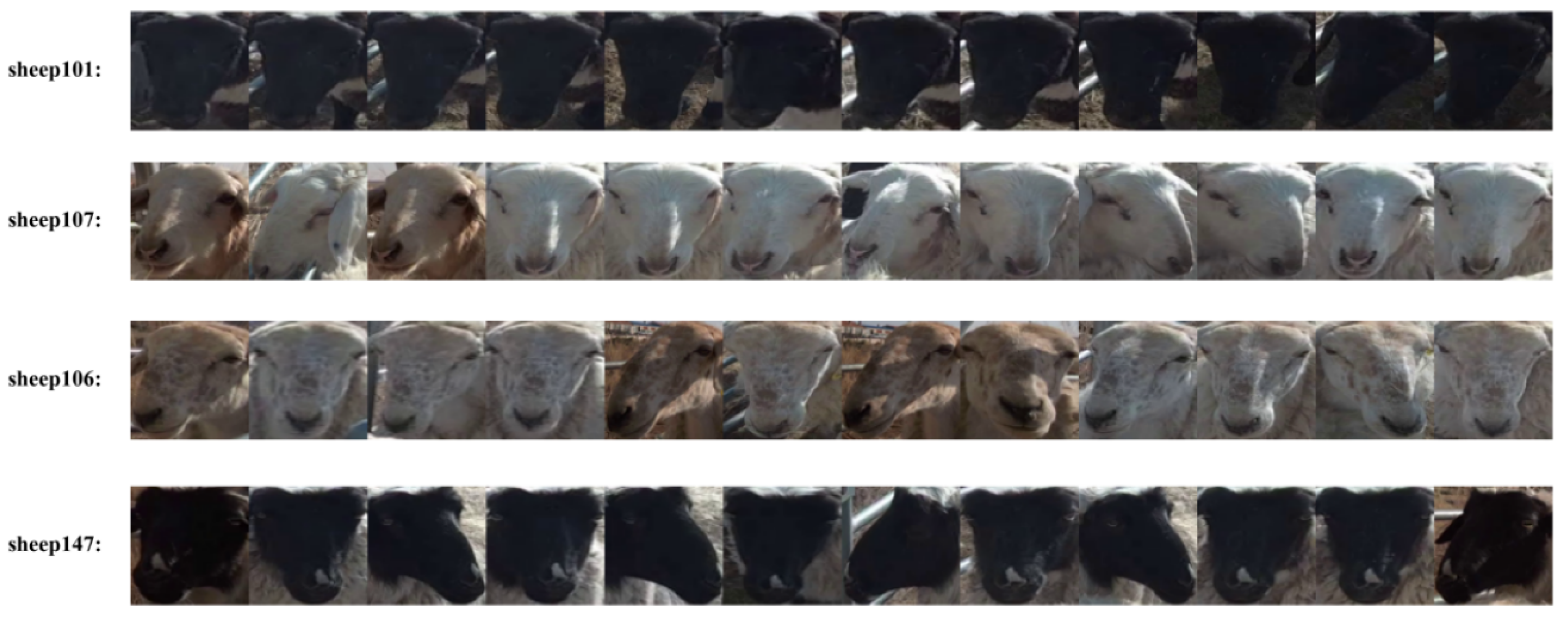 Agriculture 16 01335 g006 Agriculture 16 01335 g006