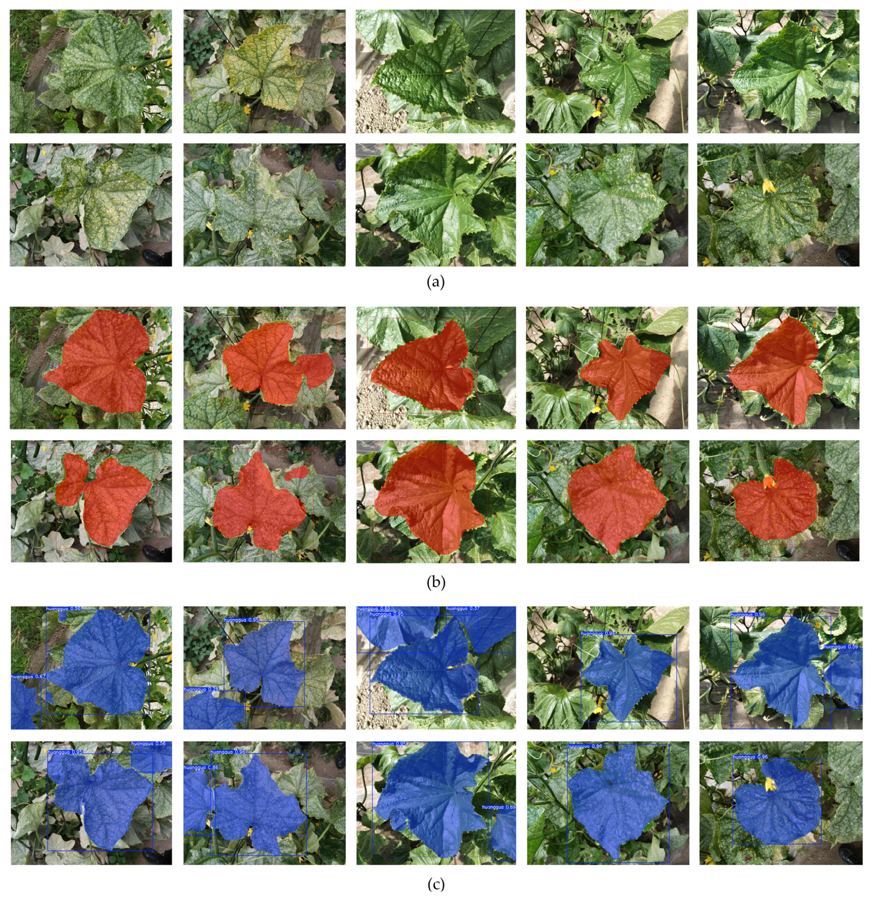 Agriculture 16 01376 g009 Agriculture 16 01376 g009