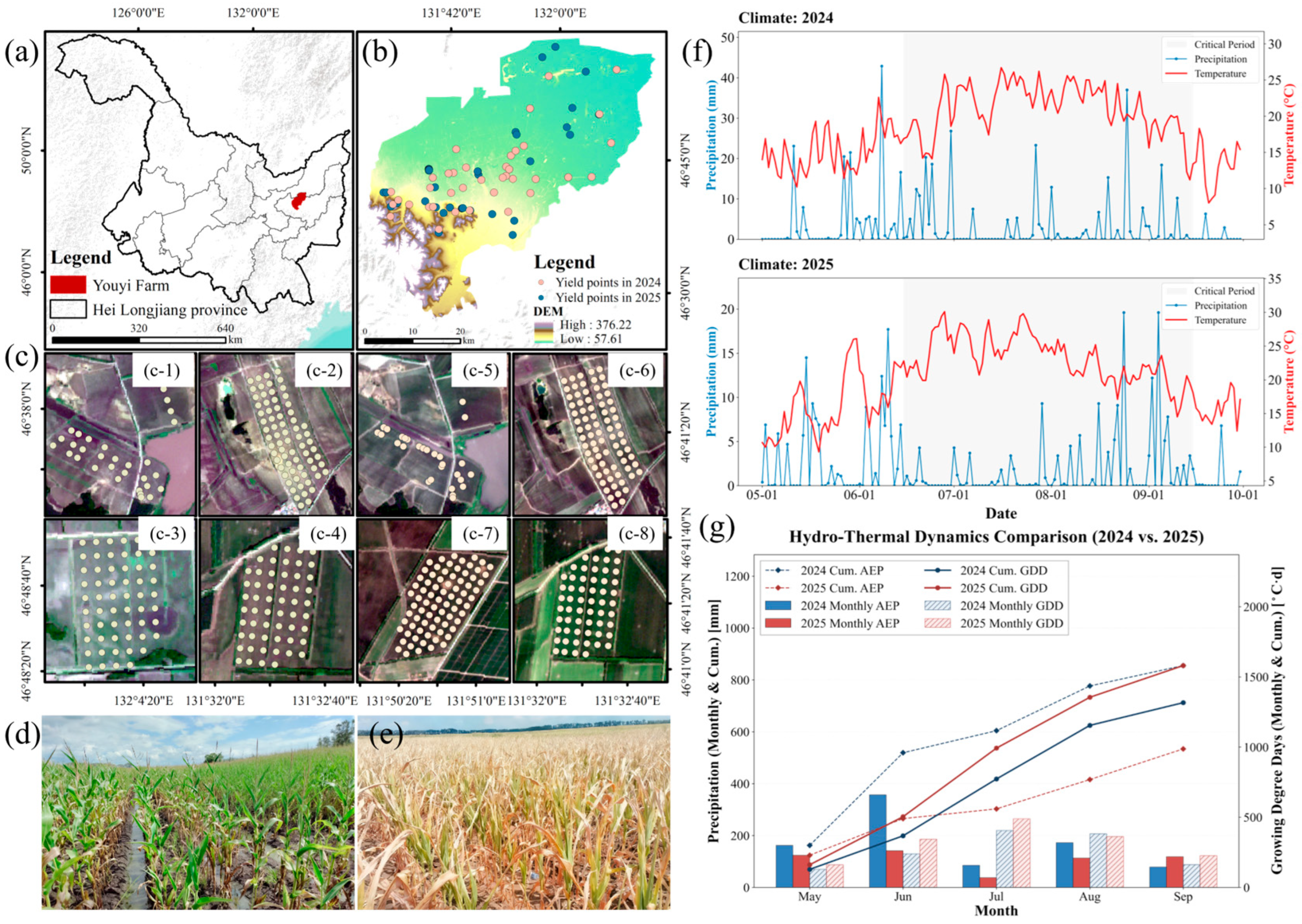 Agriculture 16 01412 g001